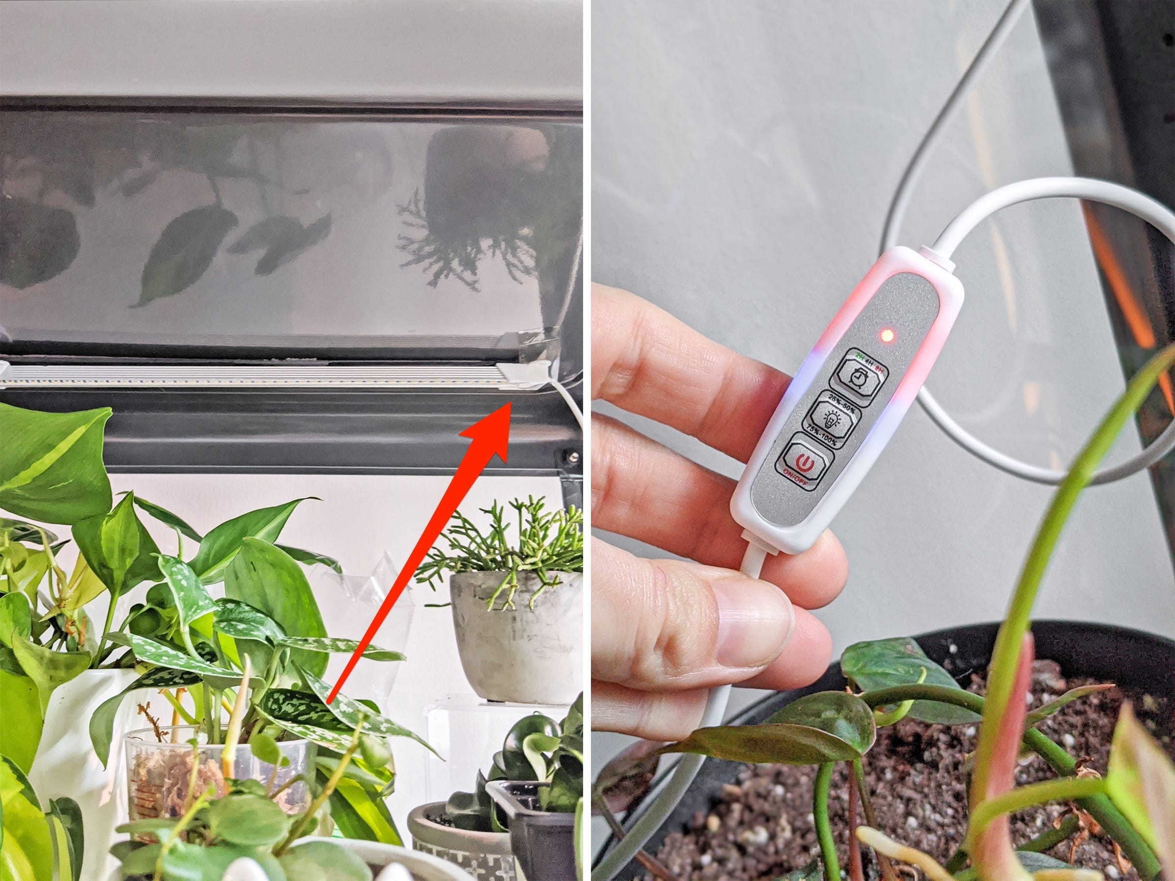 ikea greenhouse cabinet
