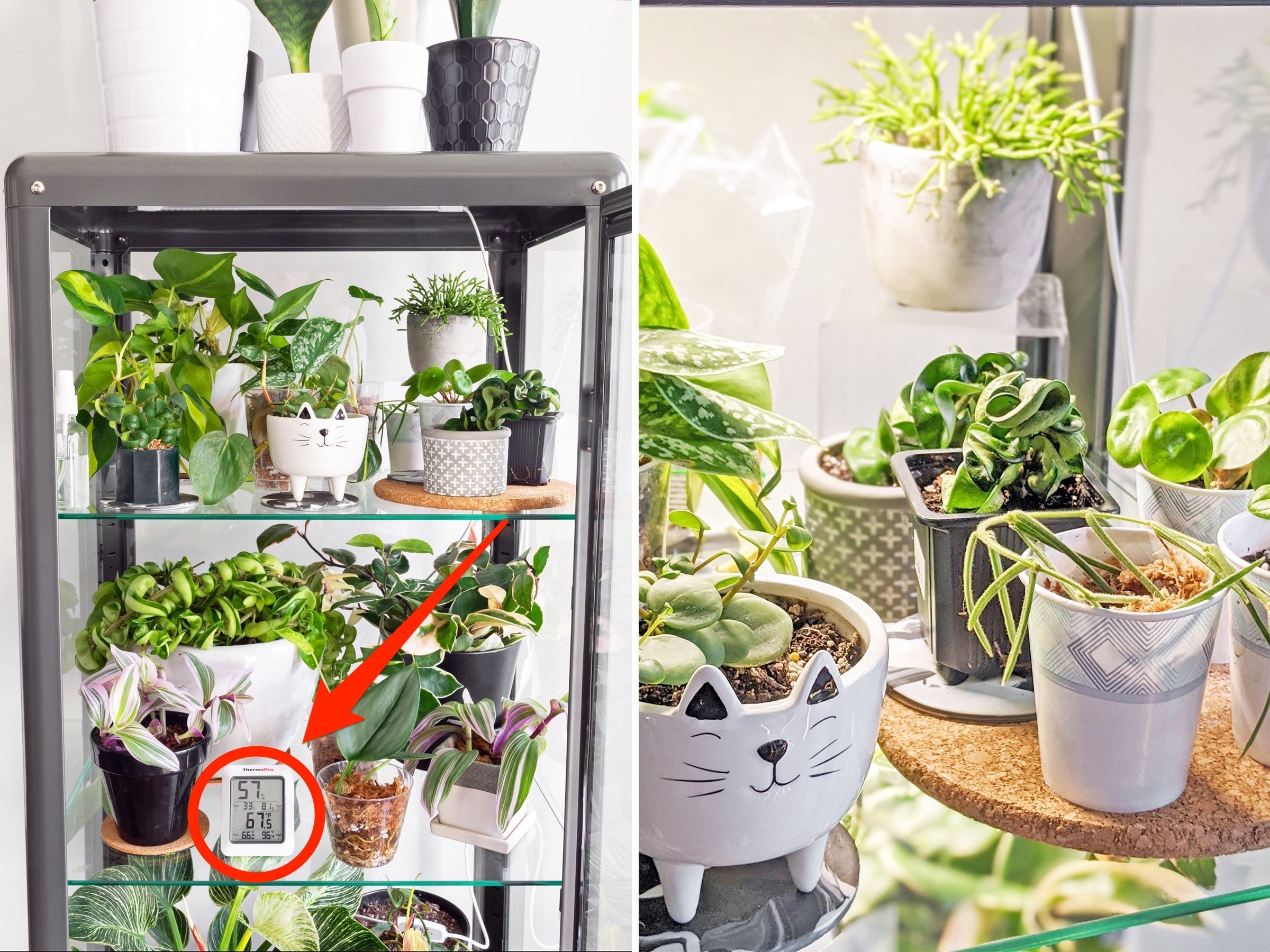 ikea greenhouse cabinet