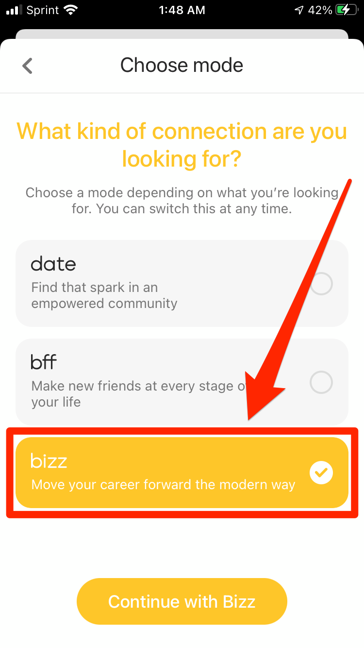 What is Bumble Bizz   3