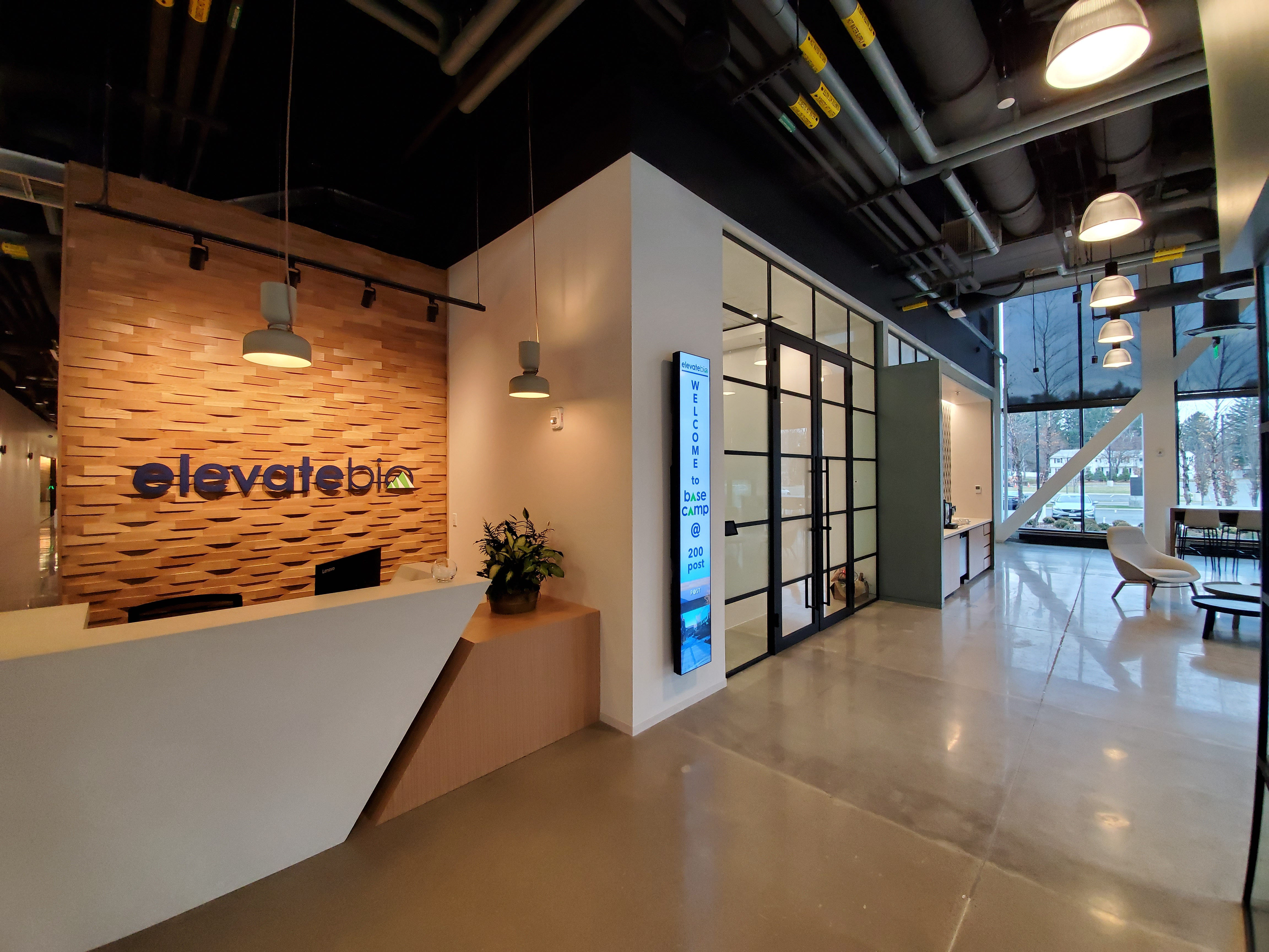 ElevateBio creates companies to lead treatments