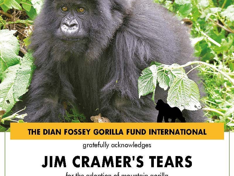 gorilla jim cramer