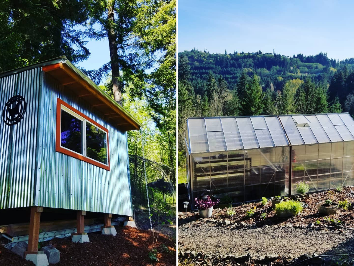 tiny house suspension bridge