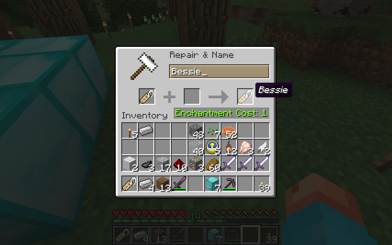 How To Use A Name In Minecraft To Customize Your Favorite Npcs