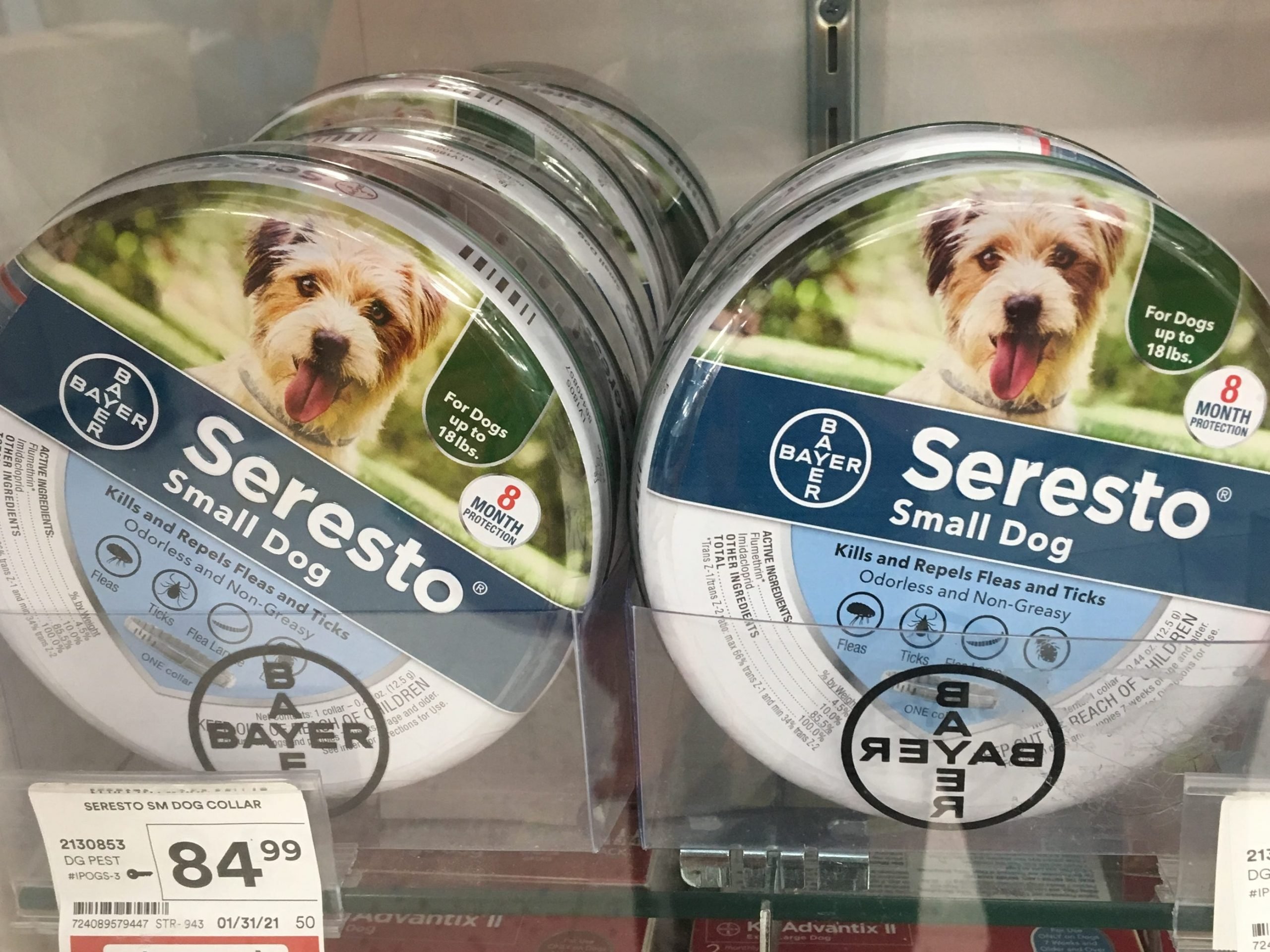 Walmart seresto large dog collar shops