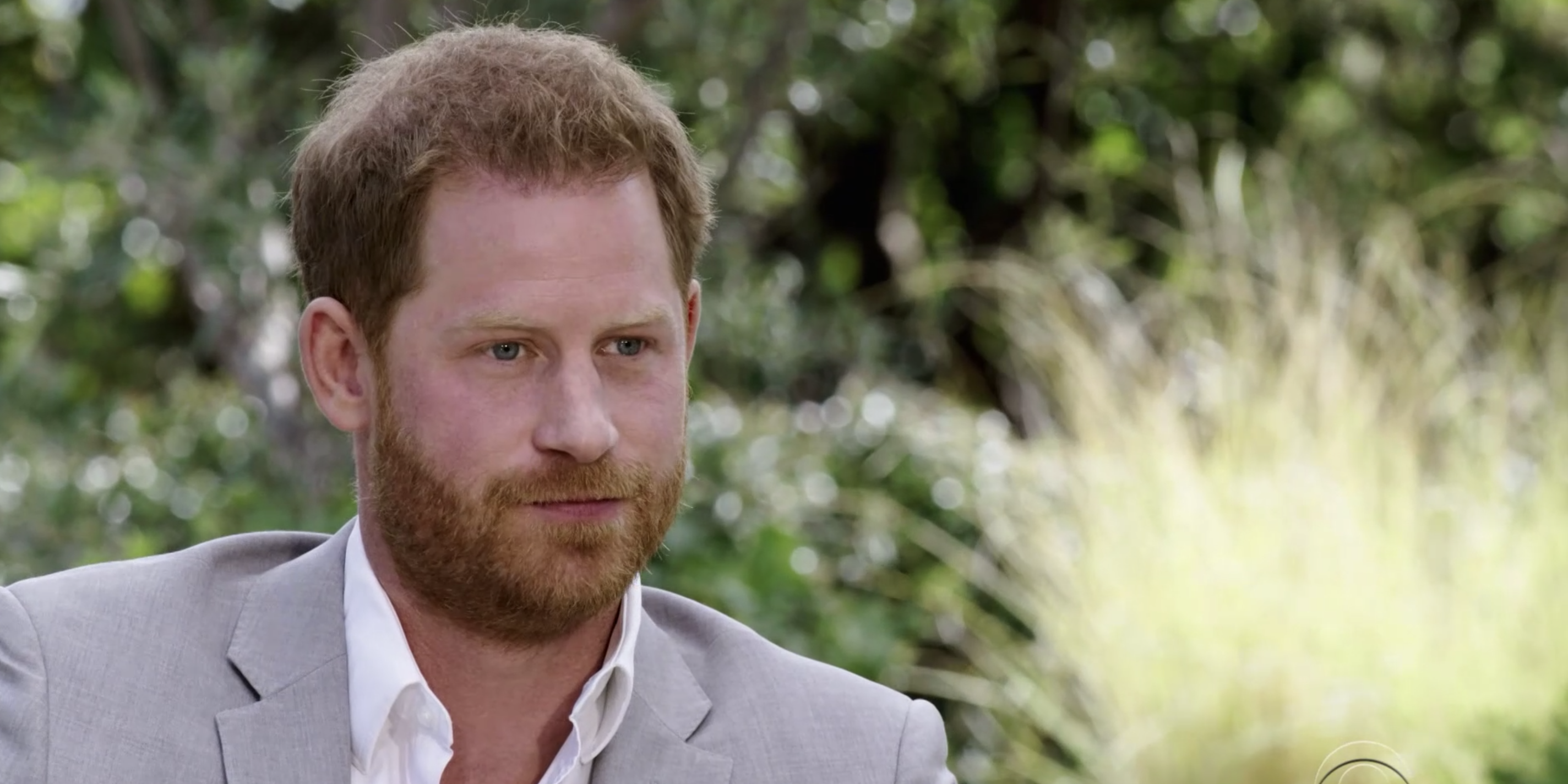 prince harry oprah interview
