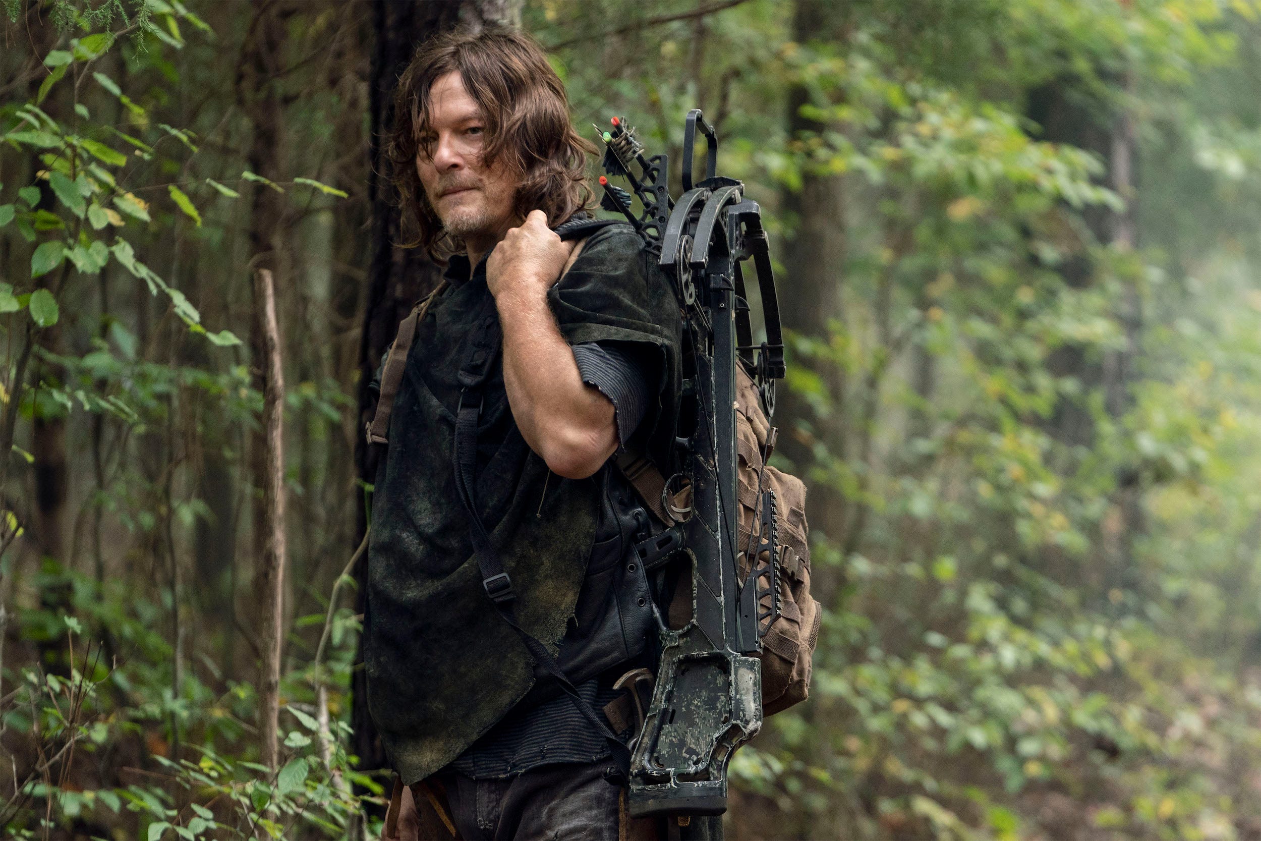 twd 1021 daryl