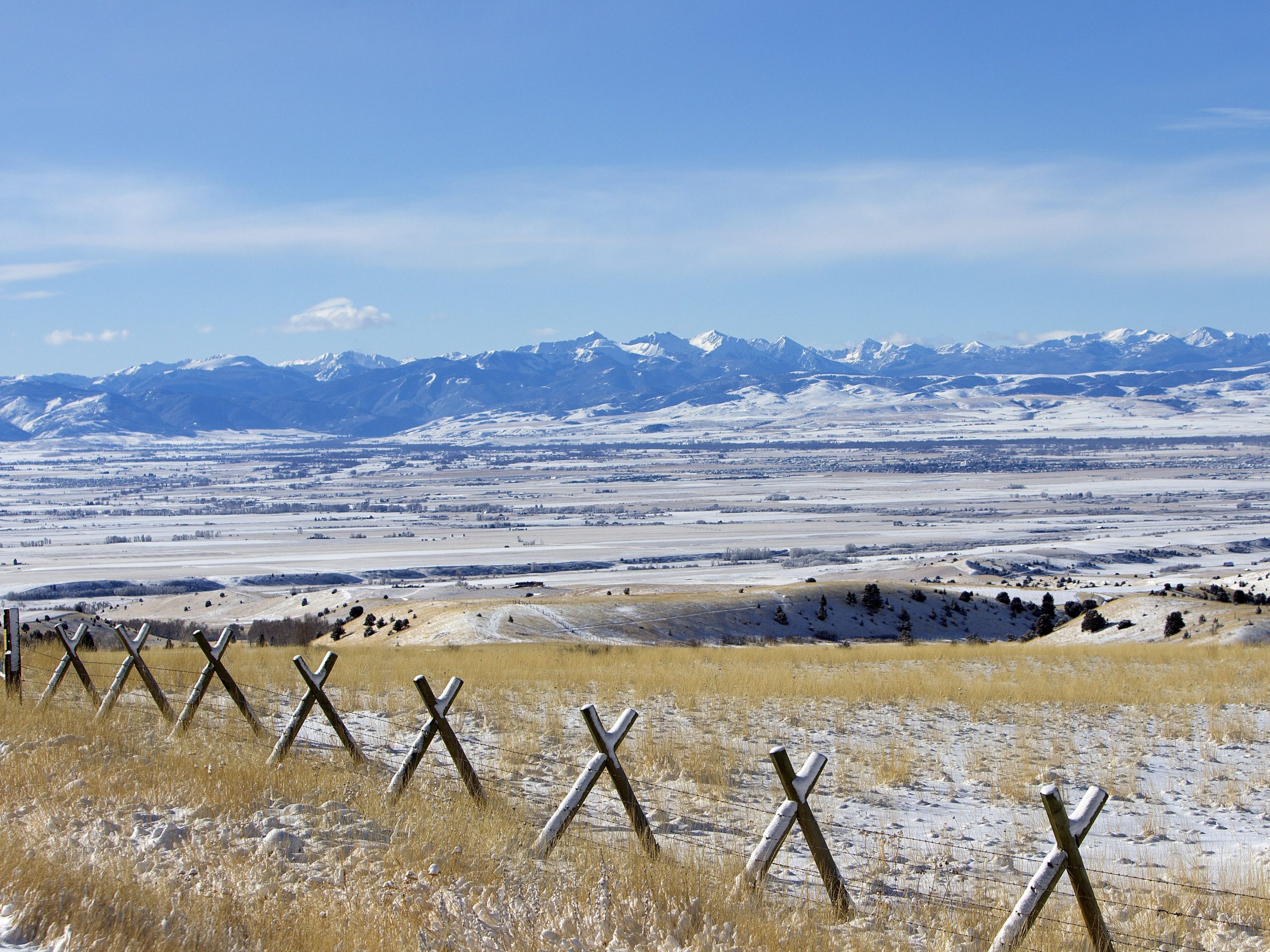 Bozeman1