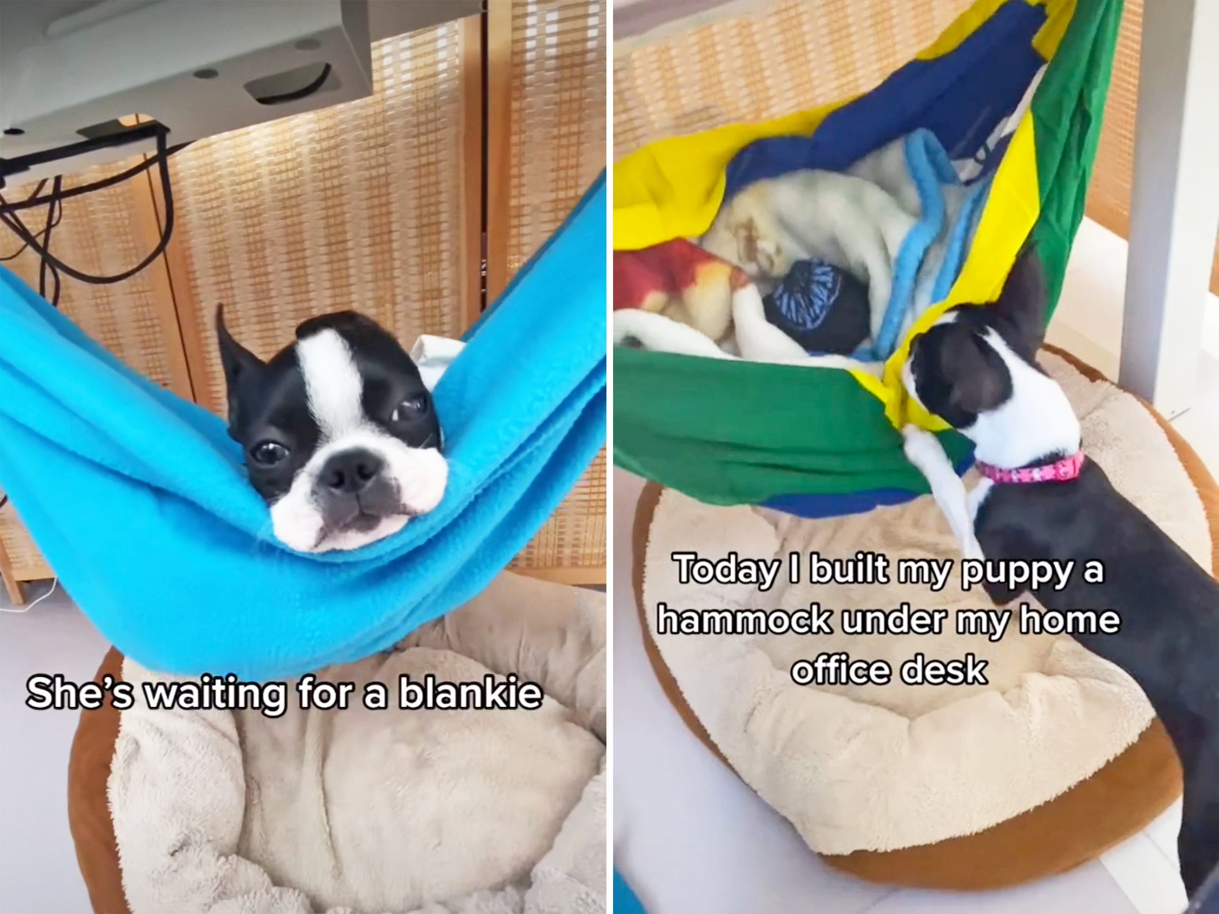 A TikToker shared how she made a DIY hammock under her work desk for her puppy to snuggle in.