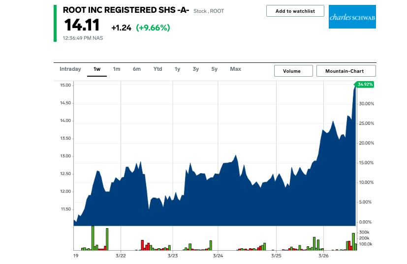 Root insurance stock