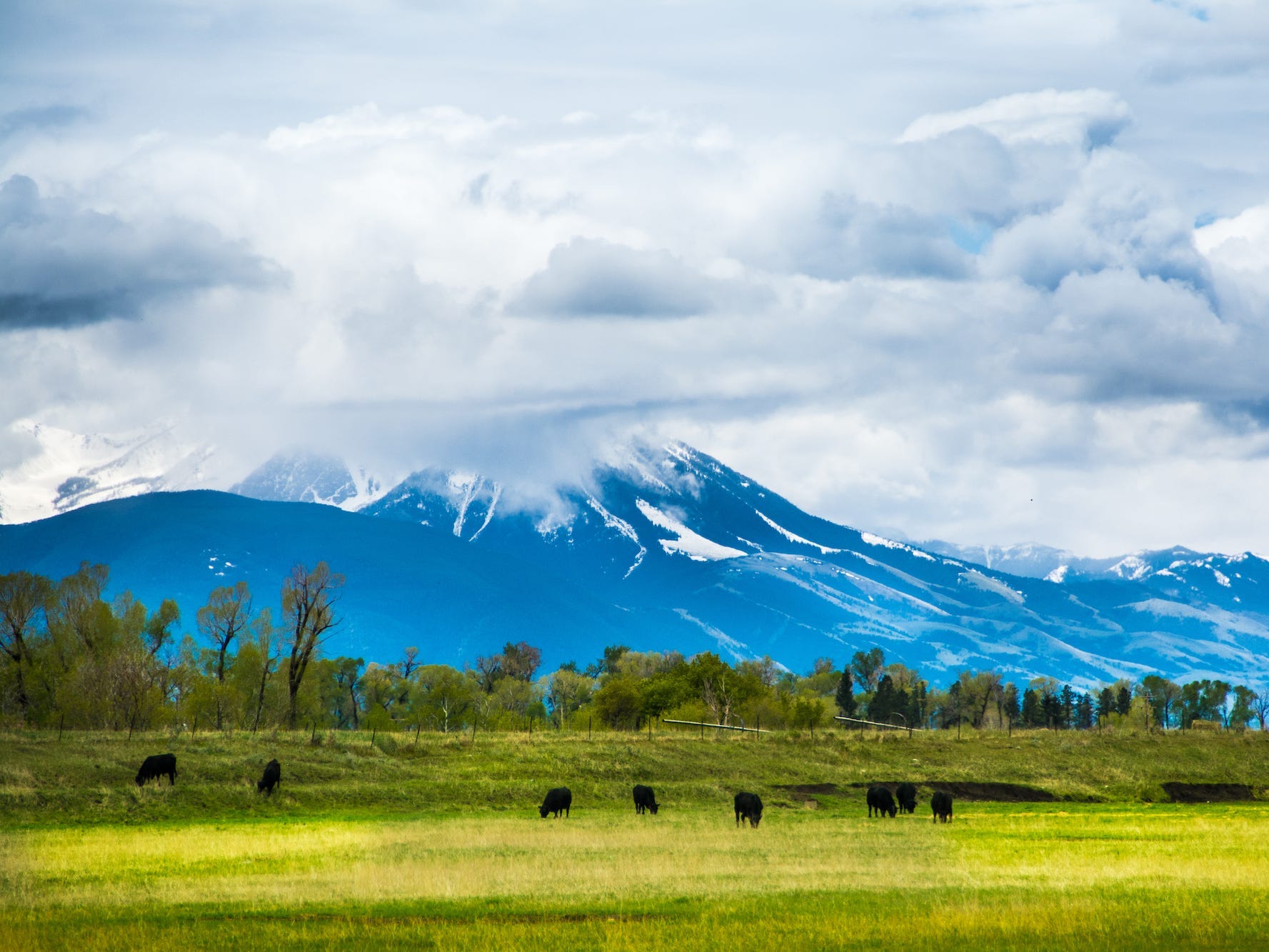 Bozeman, Montana