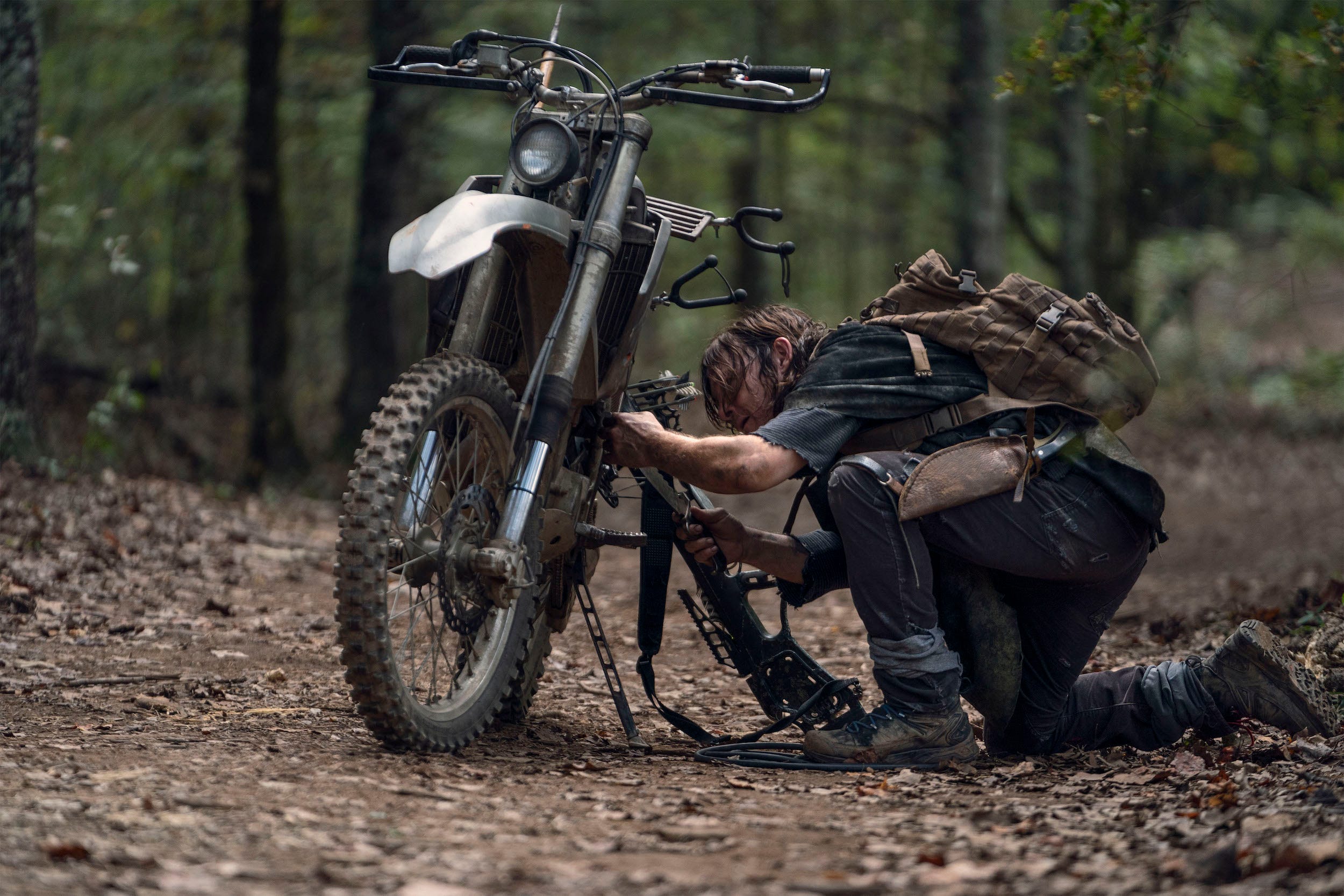 twd 1021 norman reedus