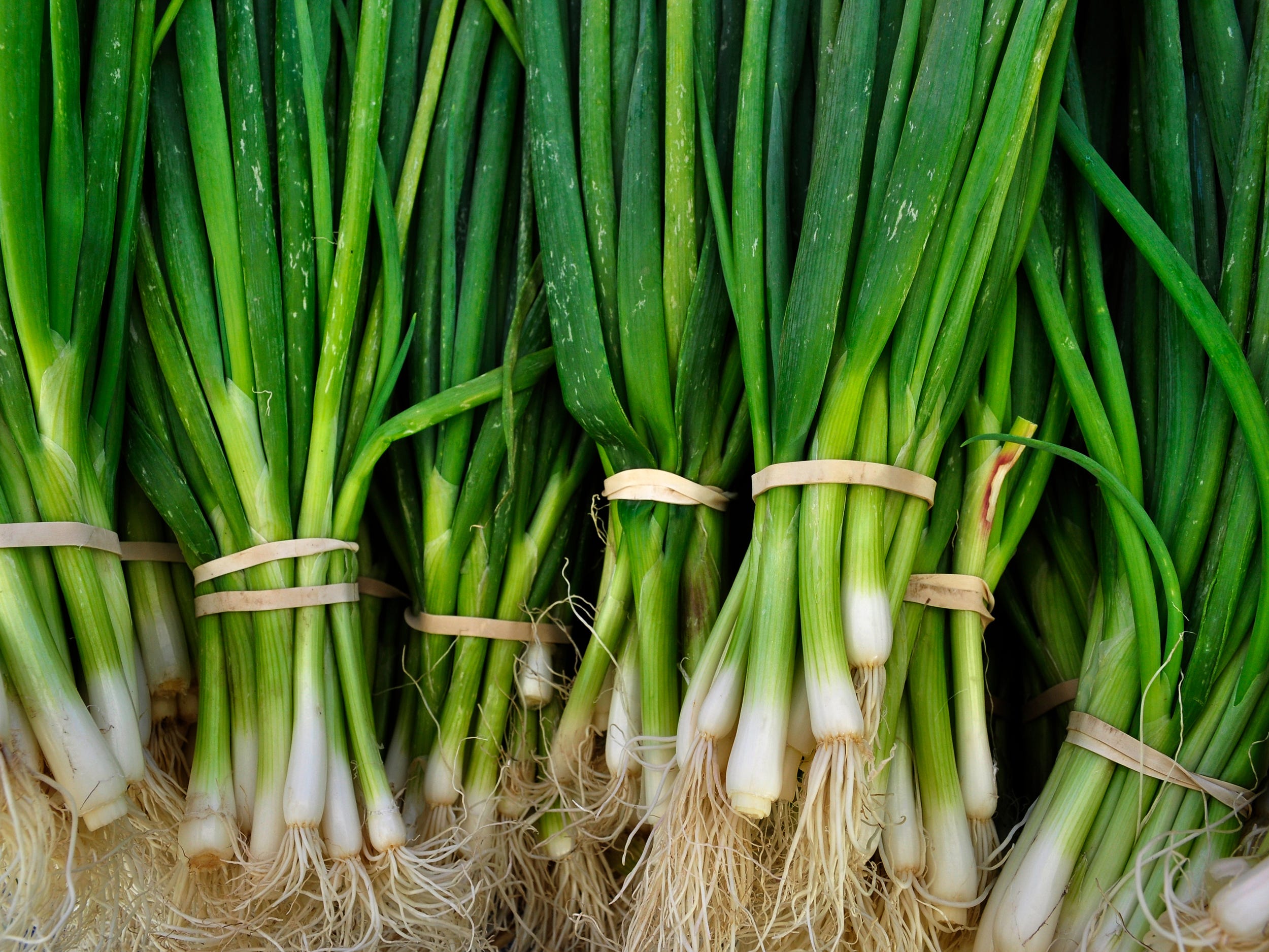 green onion