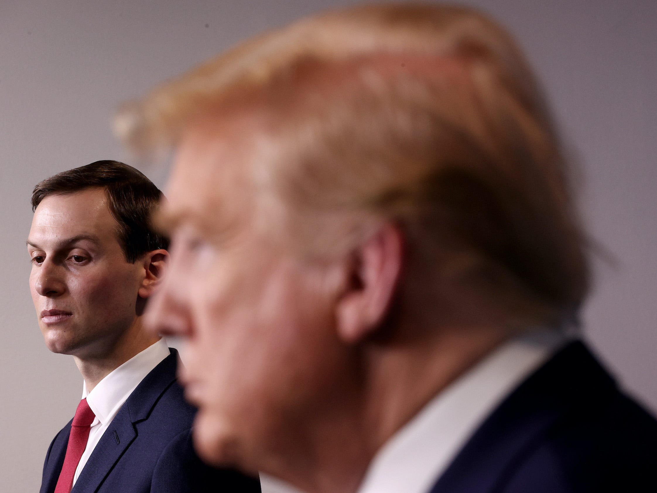 trump kushner