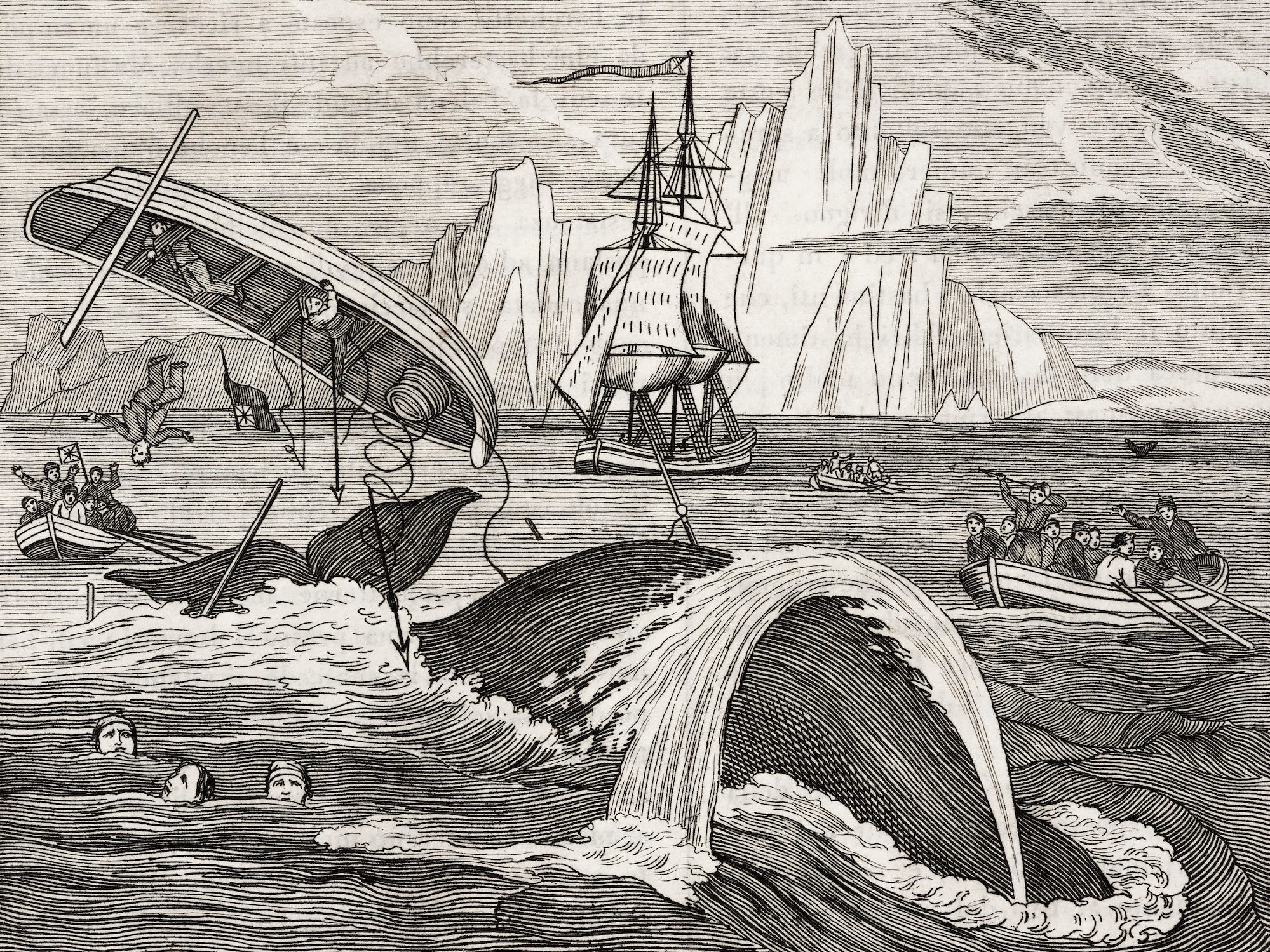Whaling, 19th century