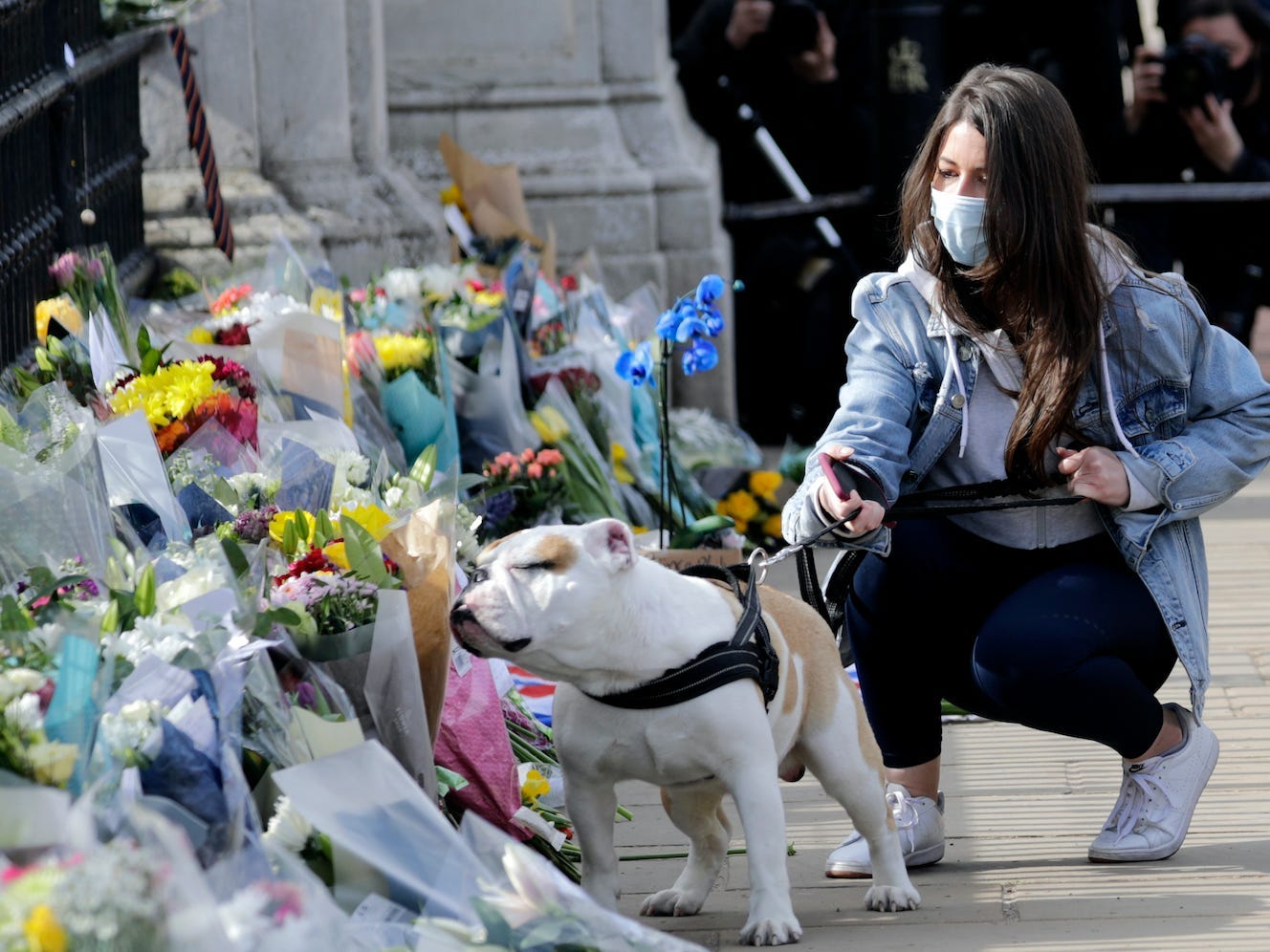 A dog smells the flowers in the floral tributes outside of Buckingham Palace on April 09, 2021 in London.