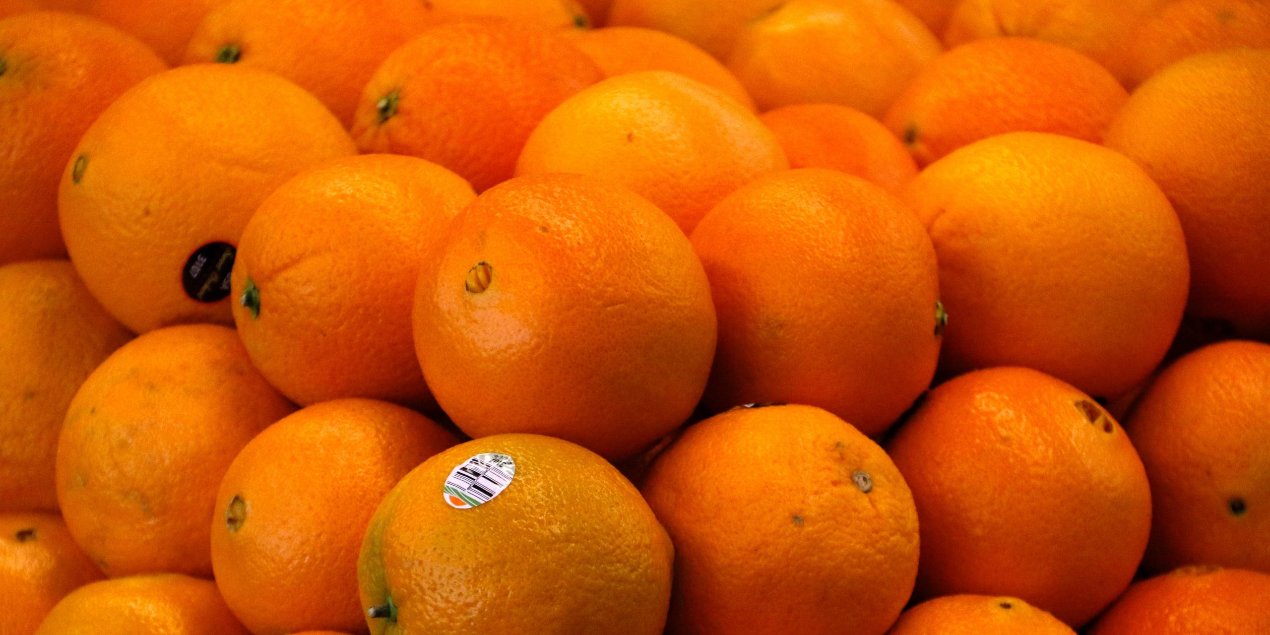oranges orange fruit citrus