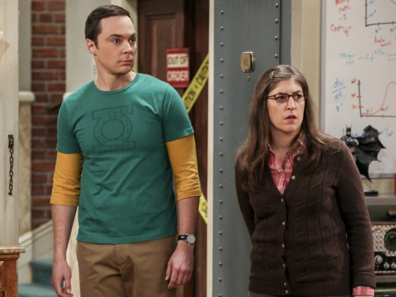 amy sheldon big bang theory