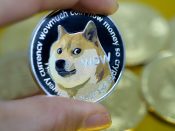 Dogecoin was started as a joke in 2013.