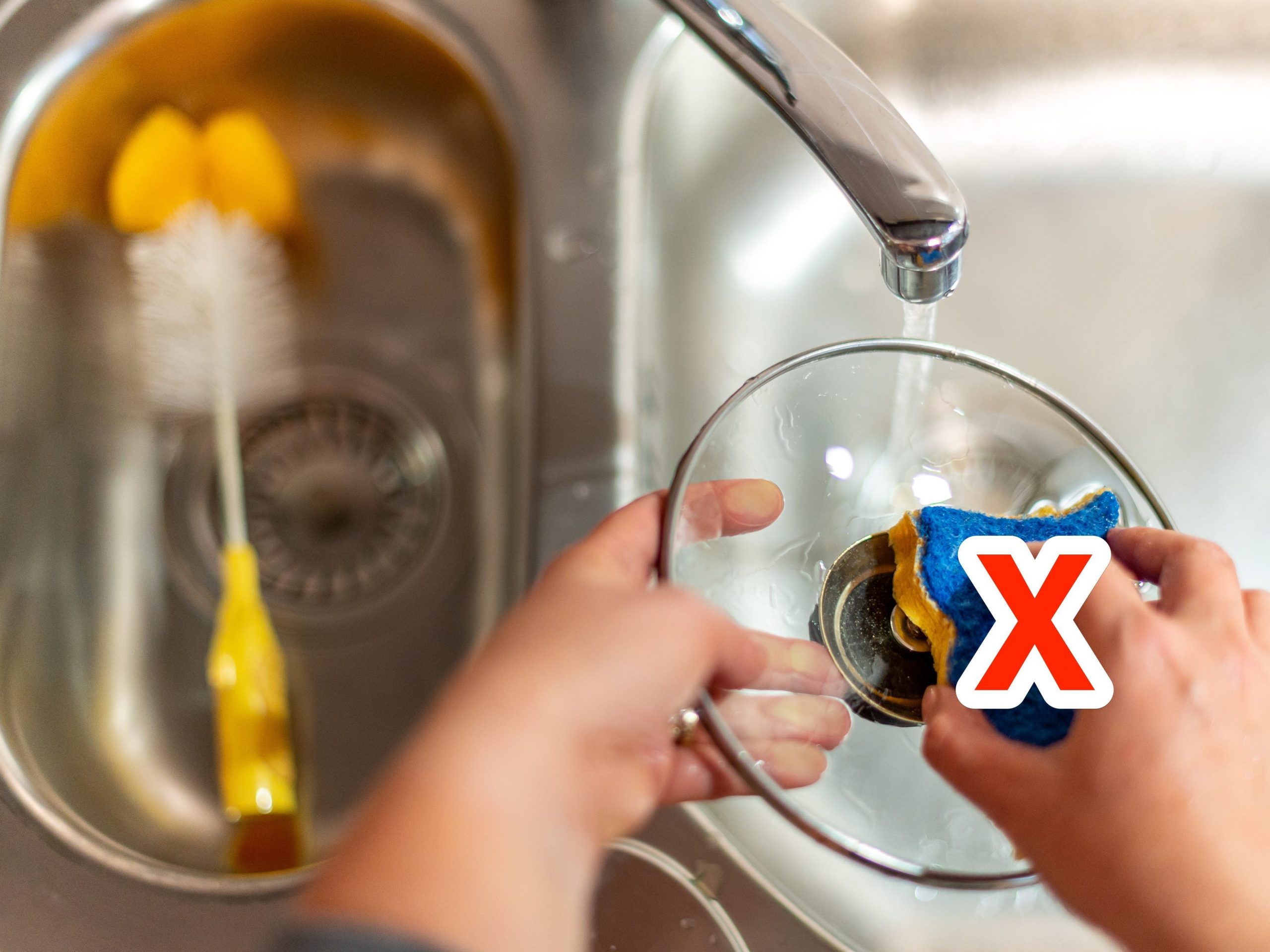 kitchen sponge dirty gross