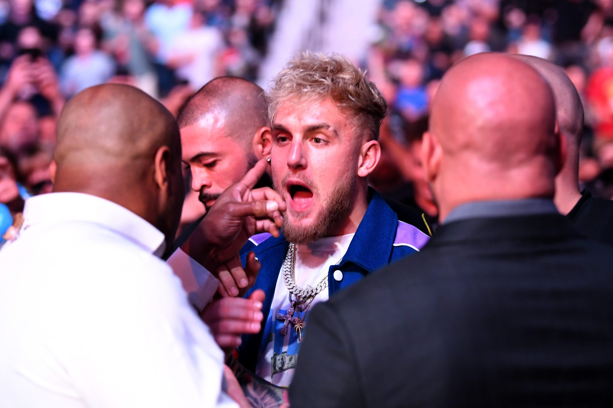 Jake Paul and Dan Cormier