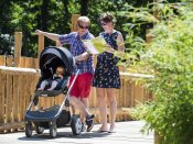 Het Ouwehands Dierenpark in Rhenen doet mee aan de pilot met toegangstests.
