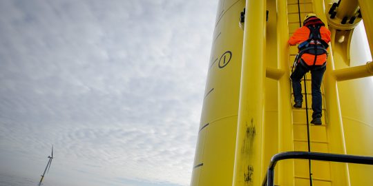 Een windpark voor de kust