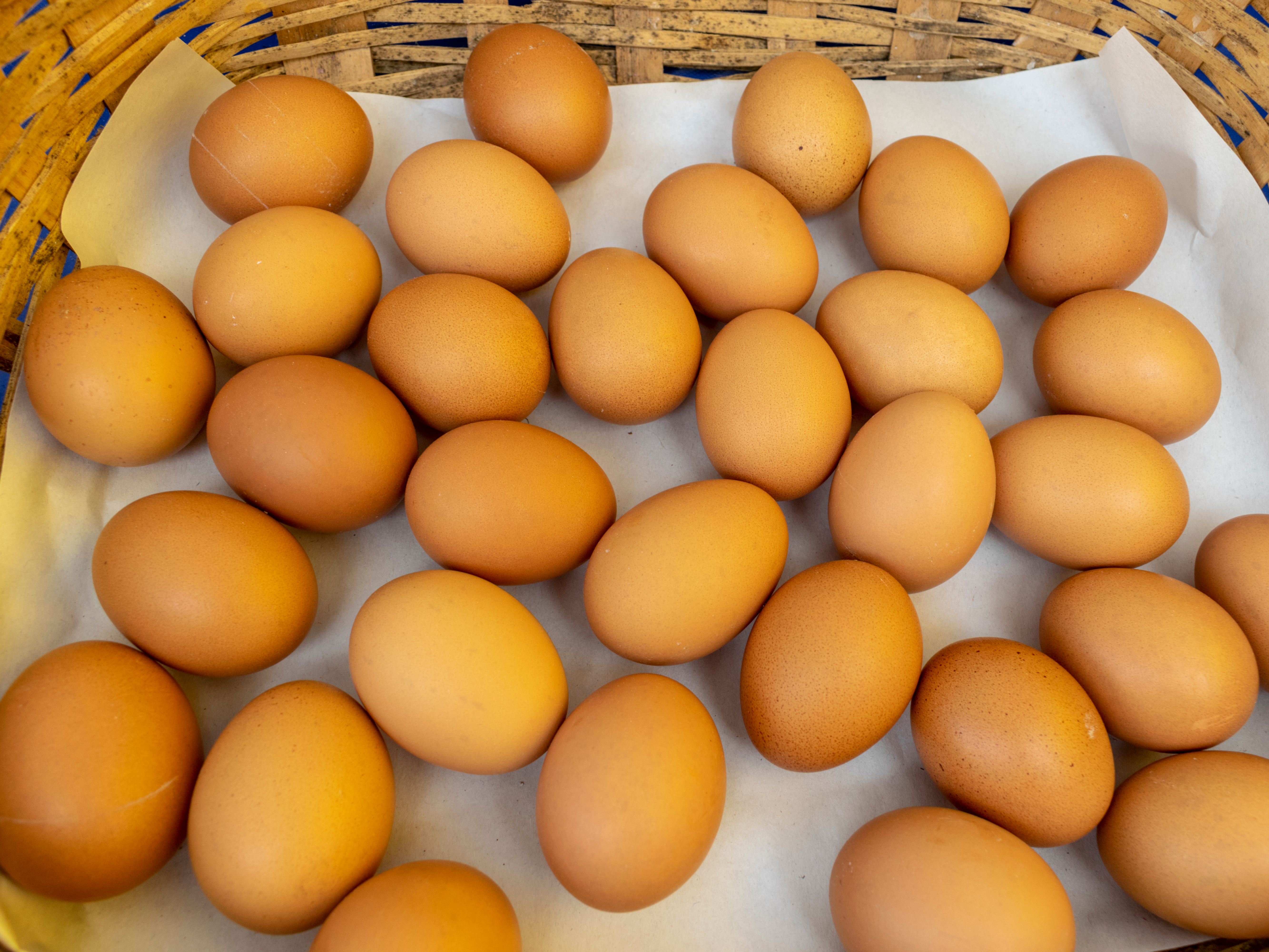 basket of eggs