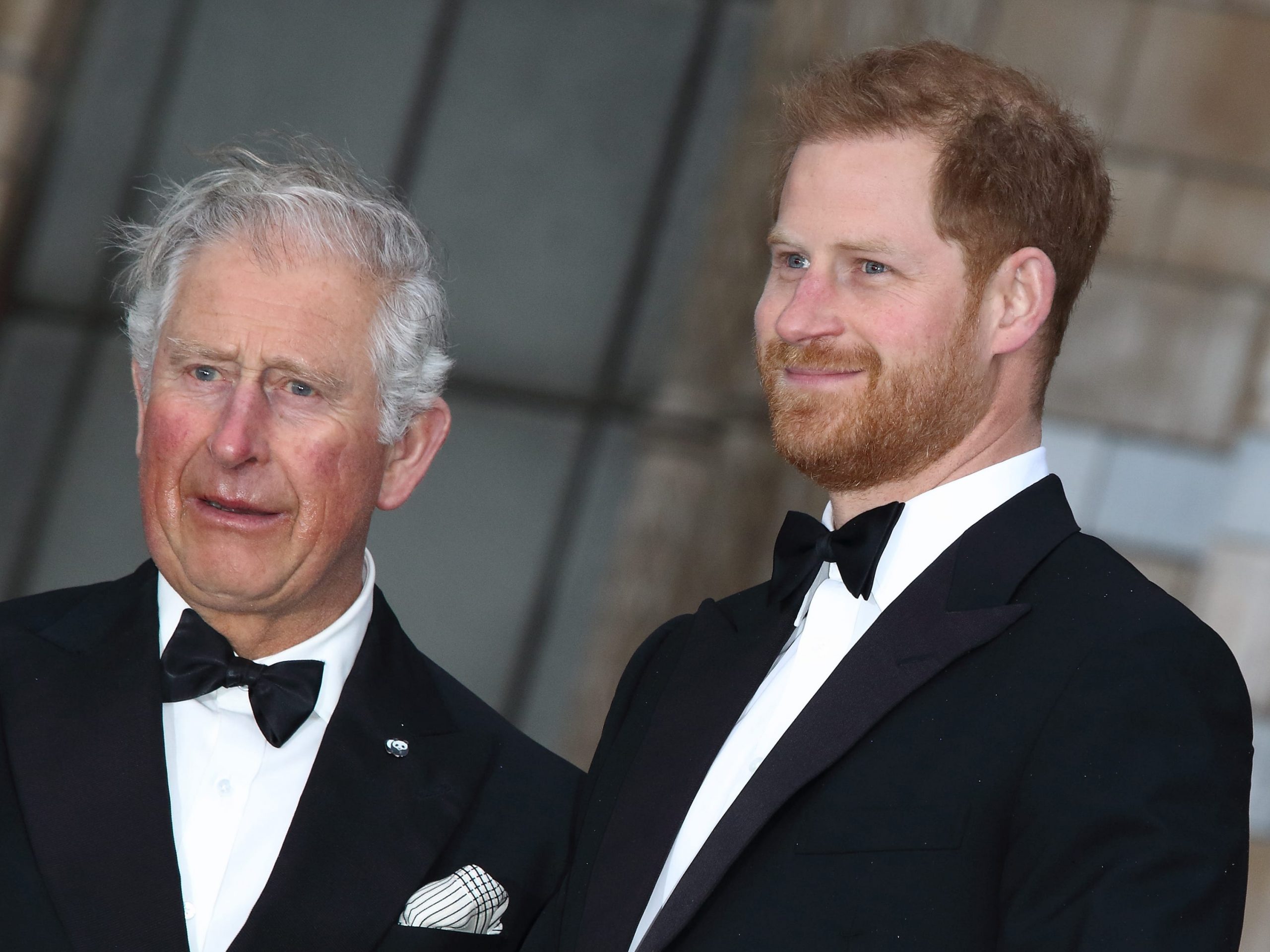 Prince Charles and Prince Harry