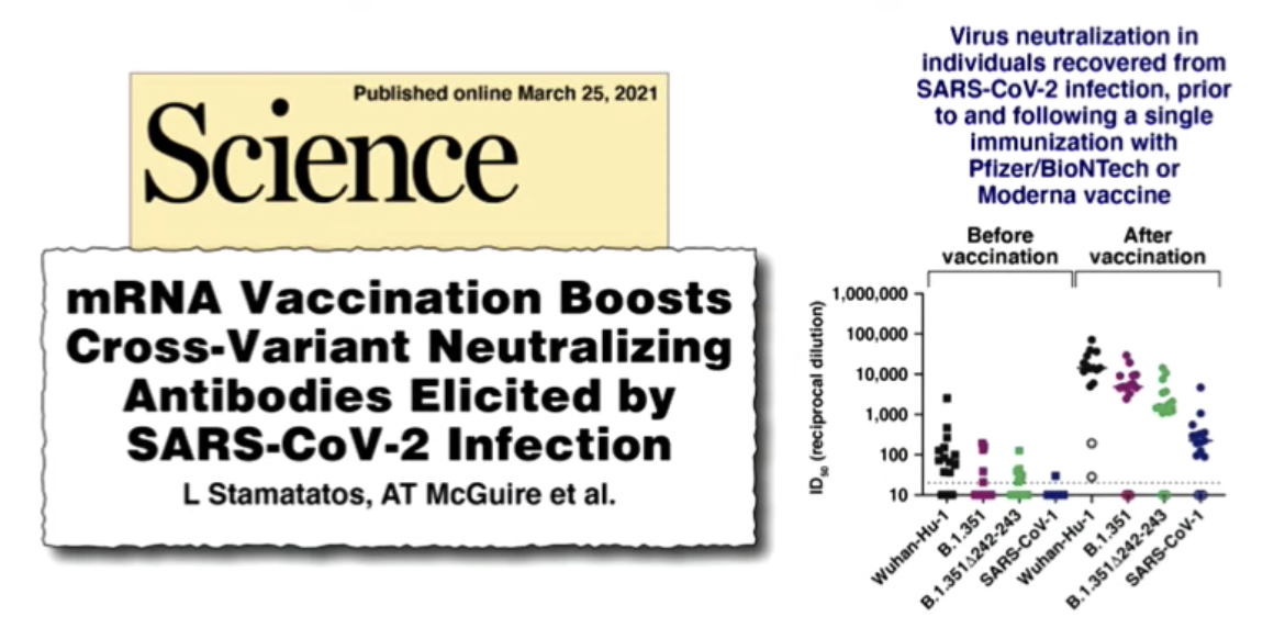 fauci showed this slide during wednesday's briefing, which has a graph showing better antibody protection against variants in previously infected people after vaccination
