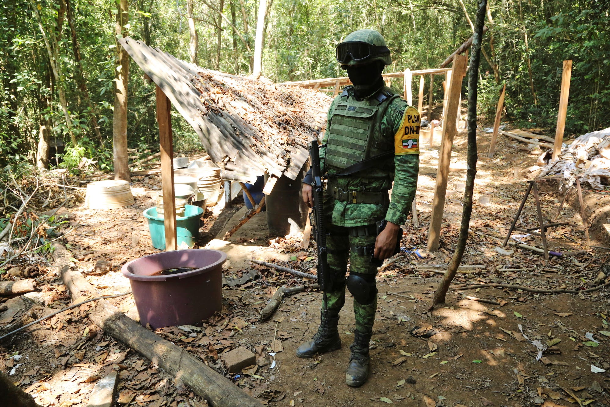 Mexico coca cocaine lab