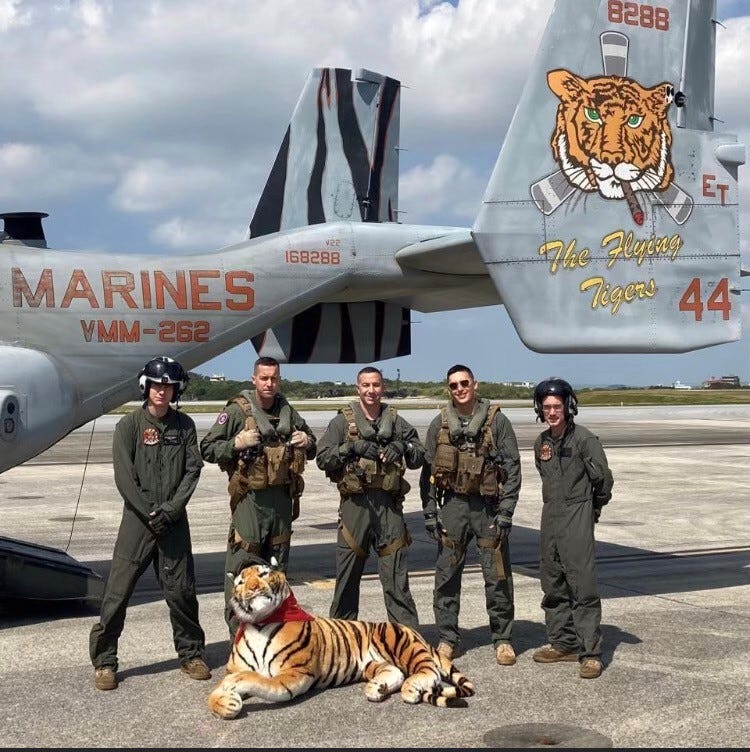 Marines with VMM-262 tiger mascot Tyreese