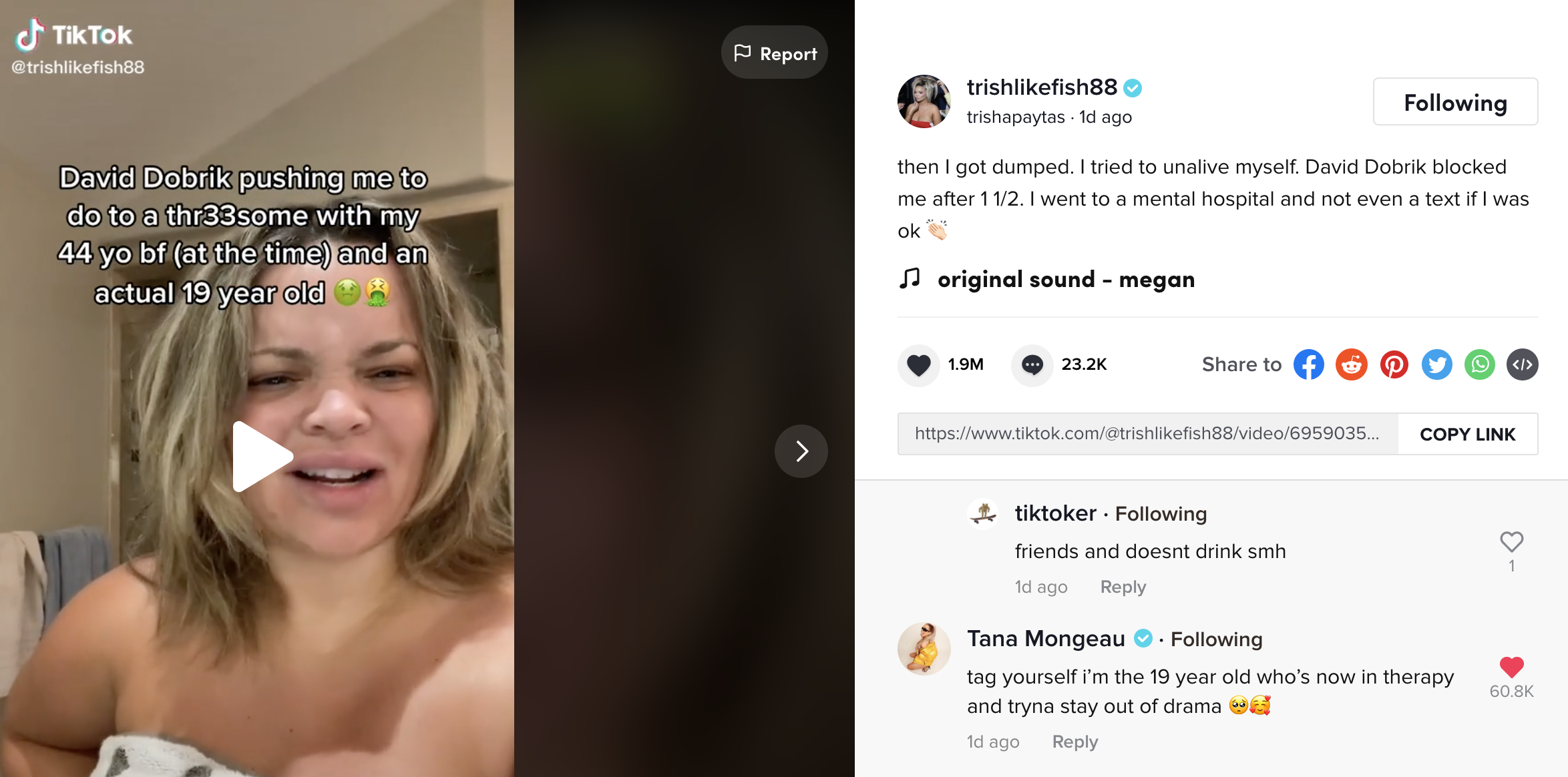 TikTok Trisha Paytas Tana Mongeau comment