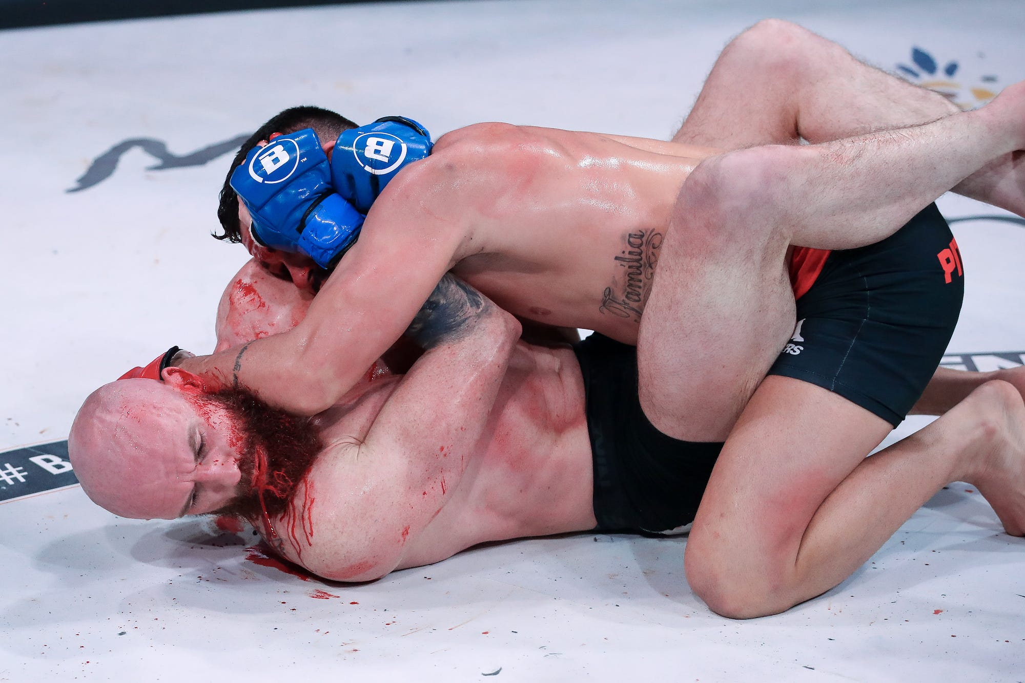 Peter Queally and Patricky Freire, Bellator MMA