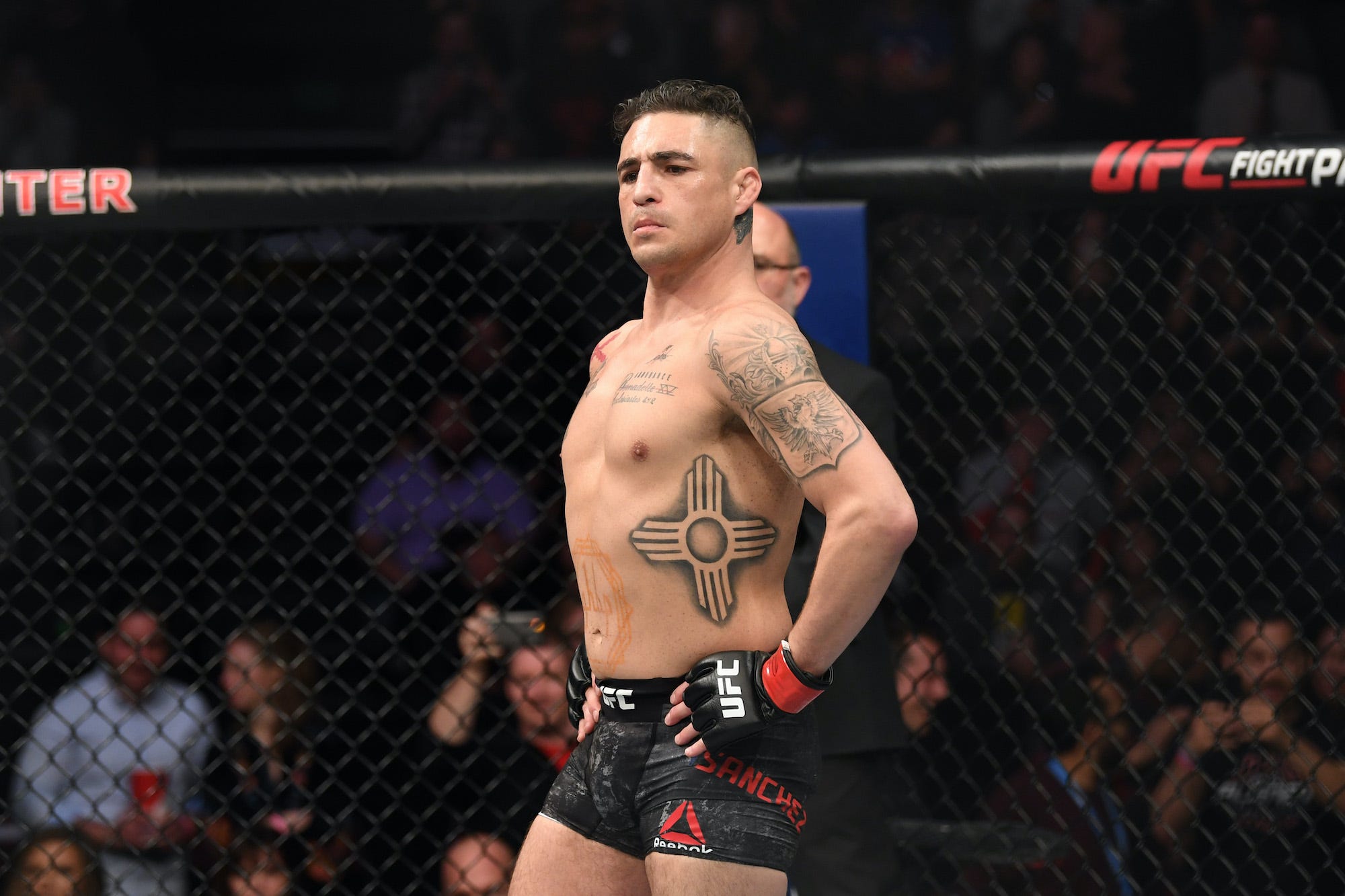 Diego Sanchez UFC