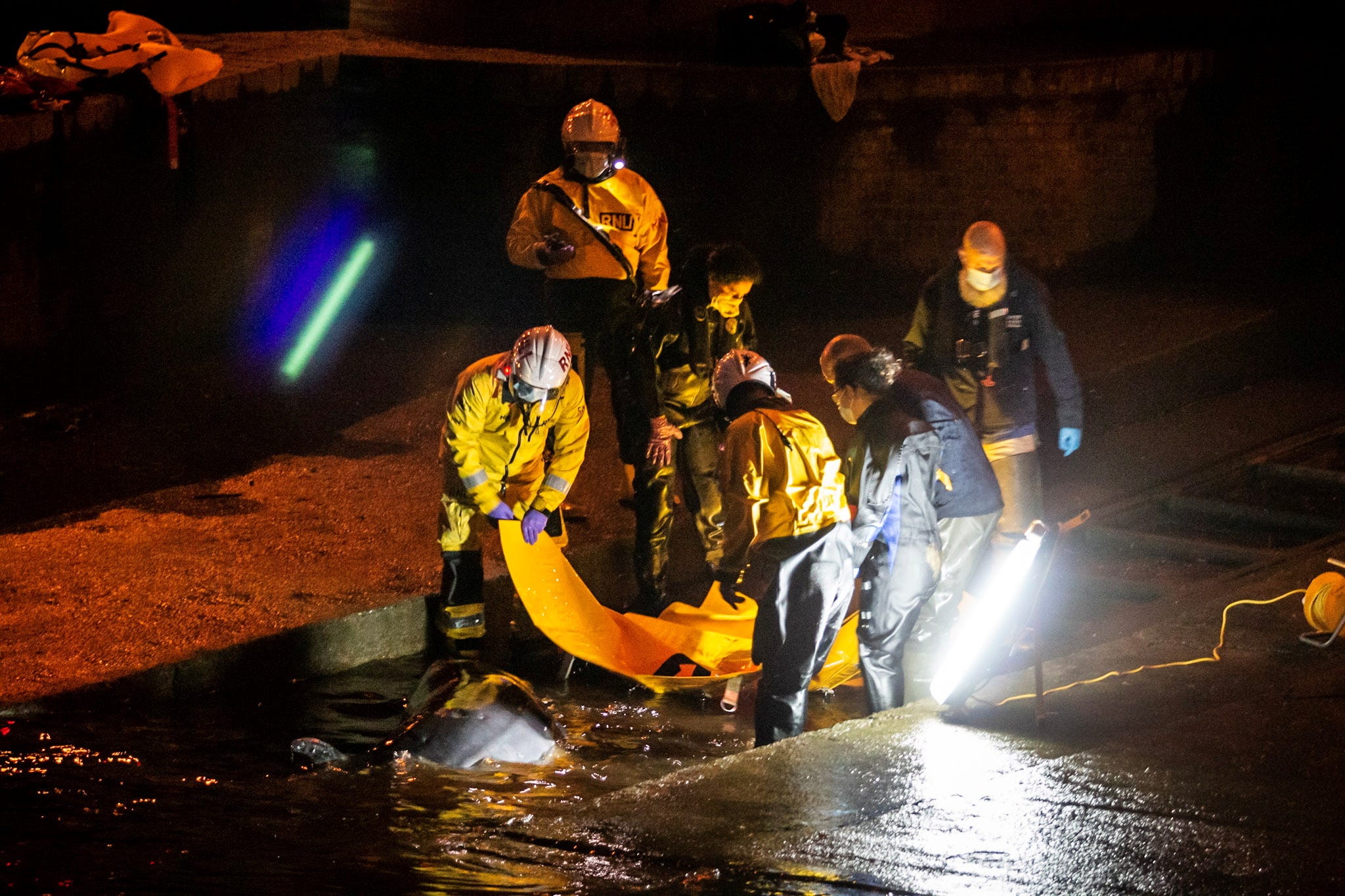 Rescue personnel work to save a small whale stranded in the River Thames in this picture obtained via social media, in London, Britain, May 9, 2021.