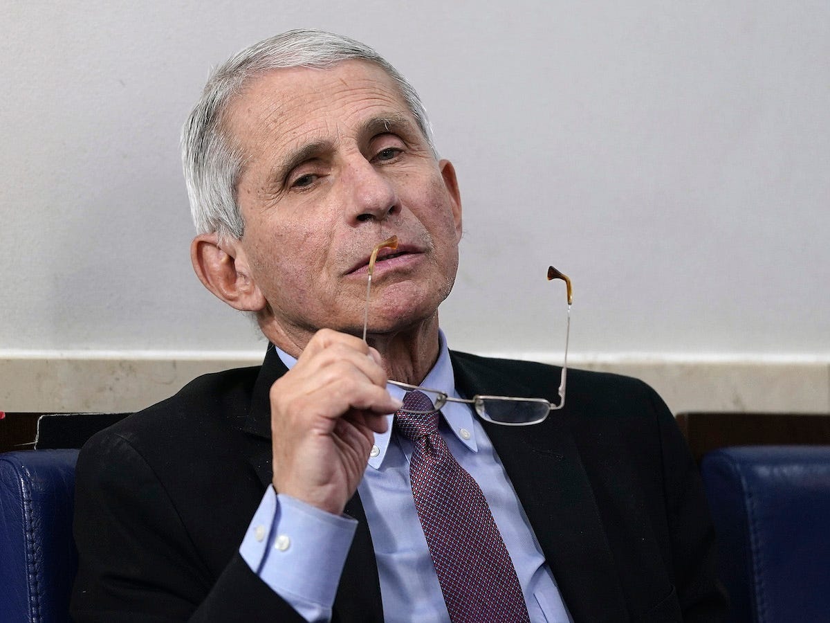 fauci now