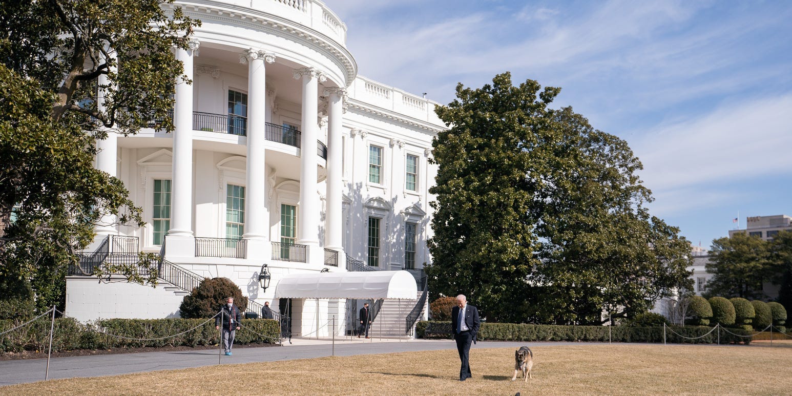 white house dogs