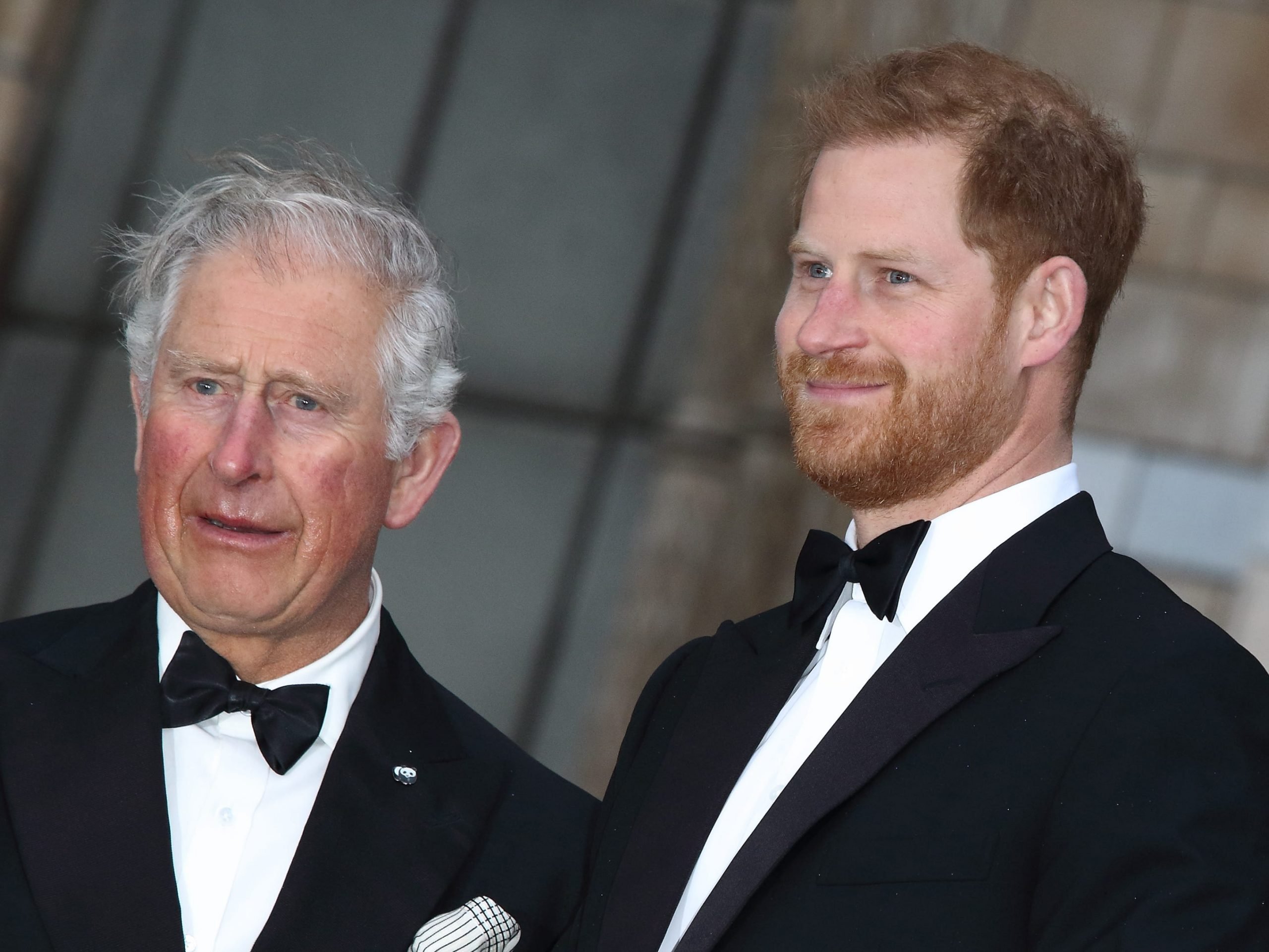 Prince Charles and Prince Harry