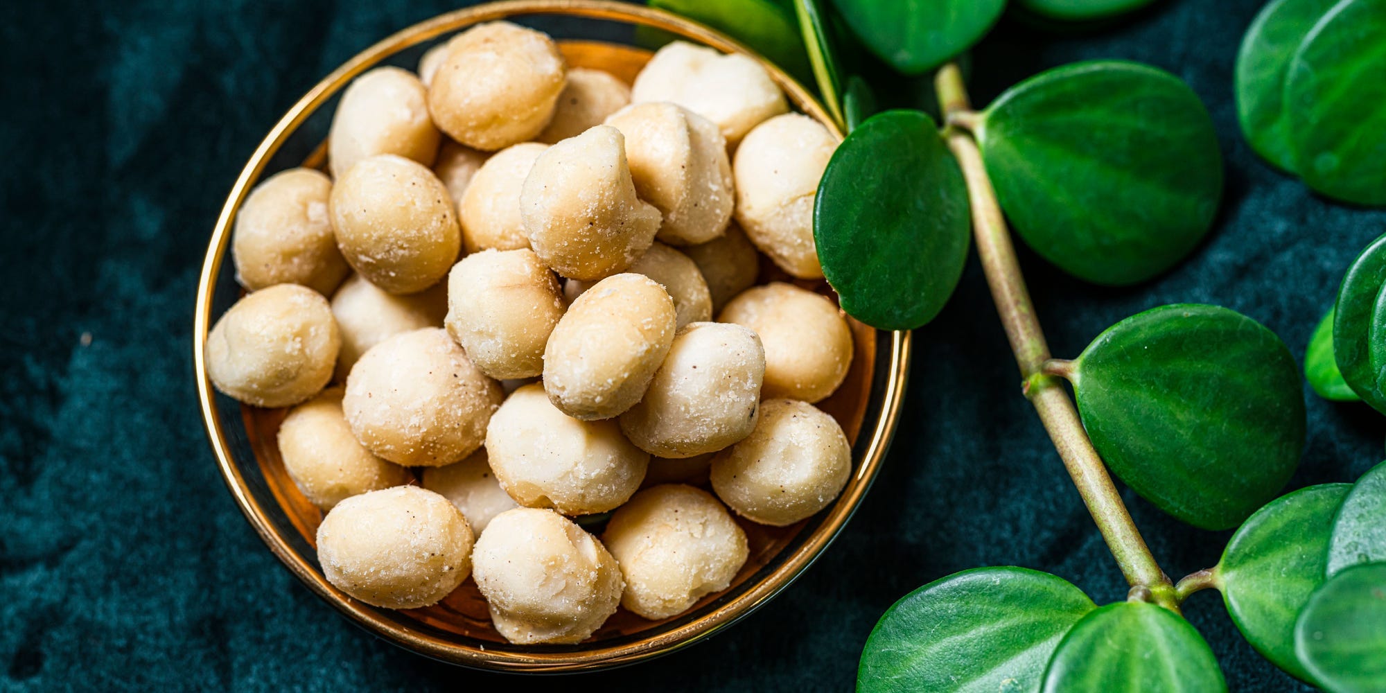 Macadamia nuts