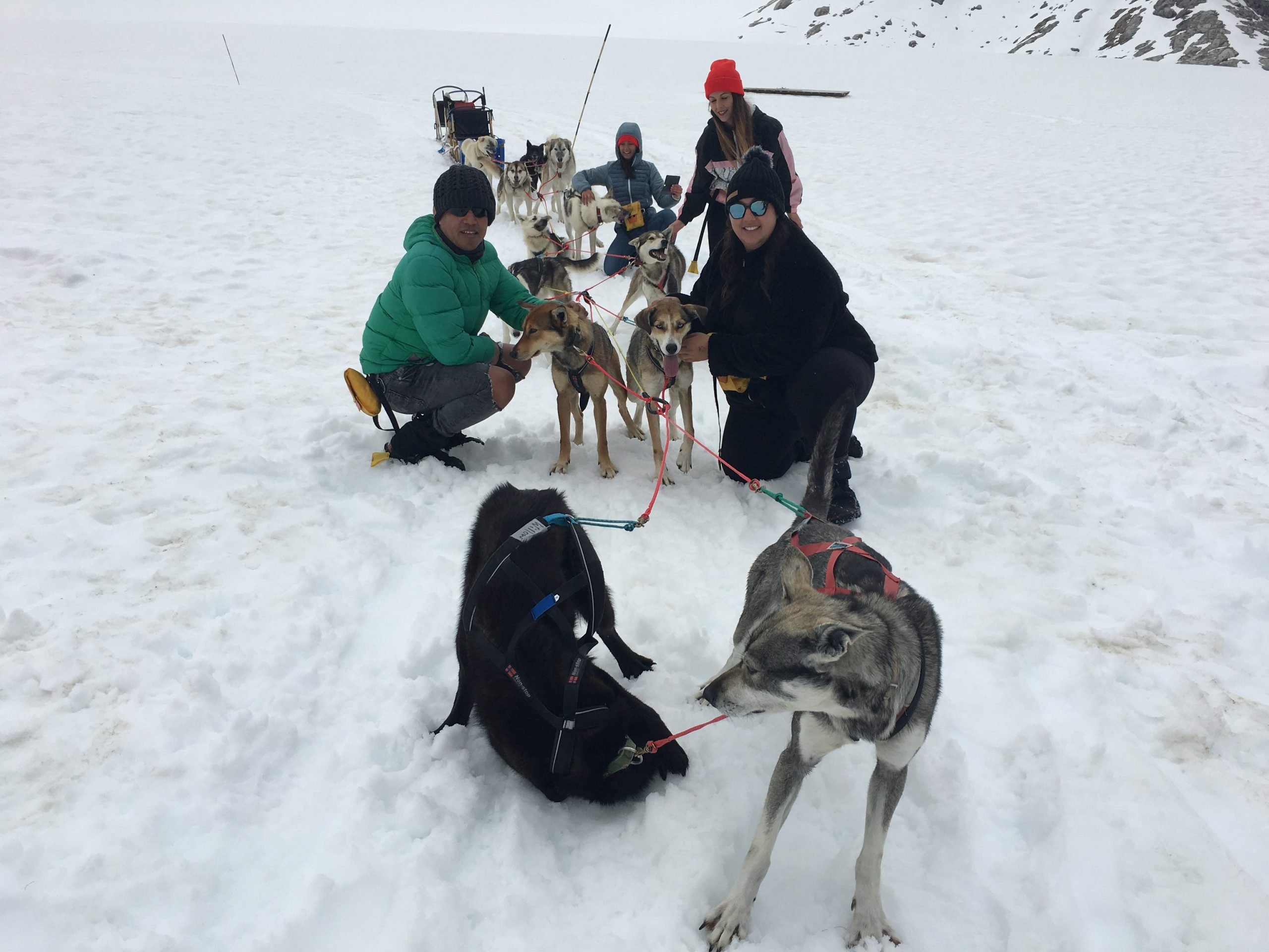 dog sledding in Alaska