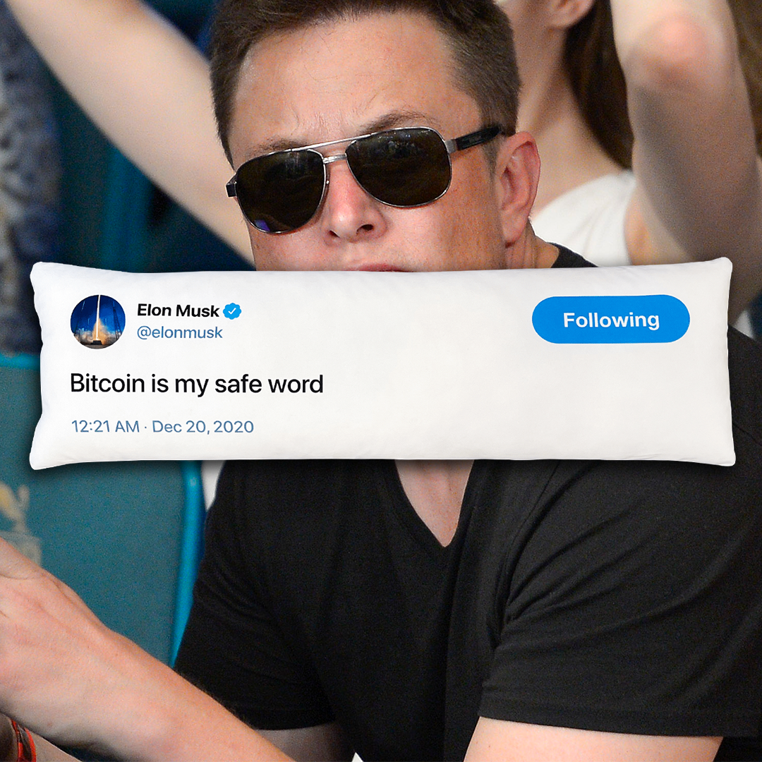 elon hi res 11