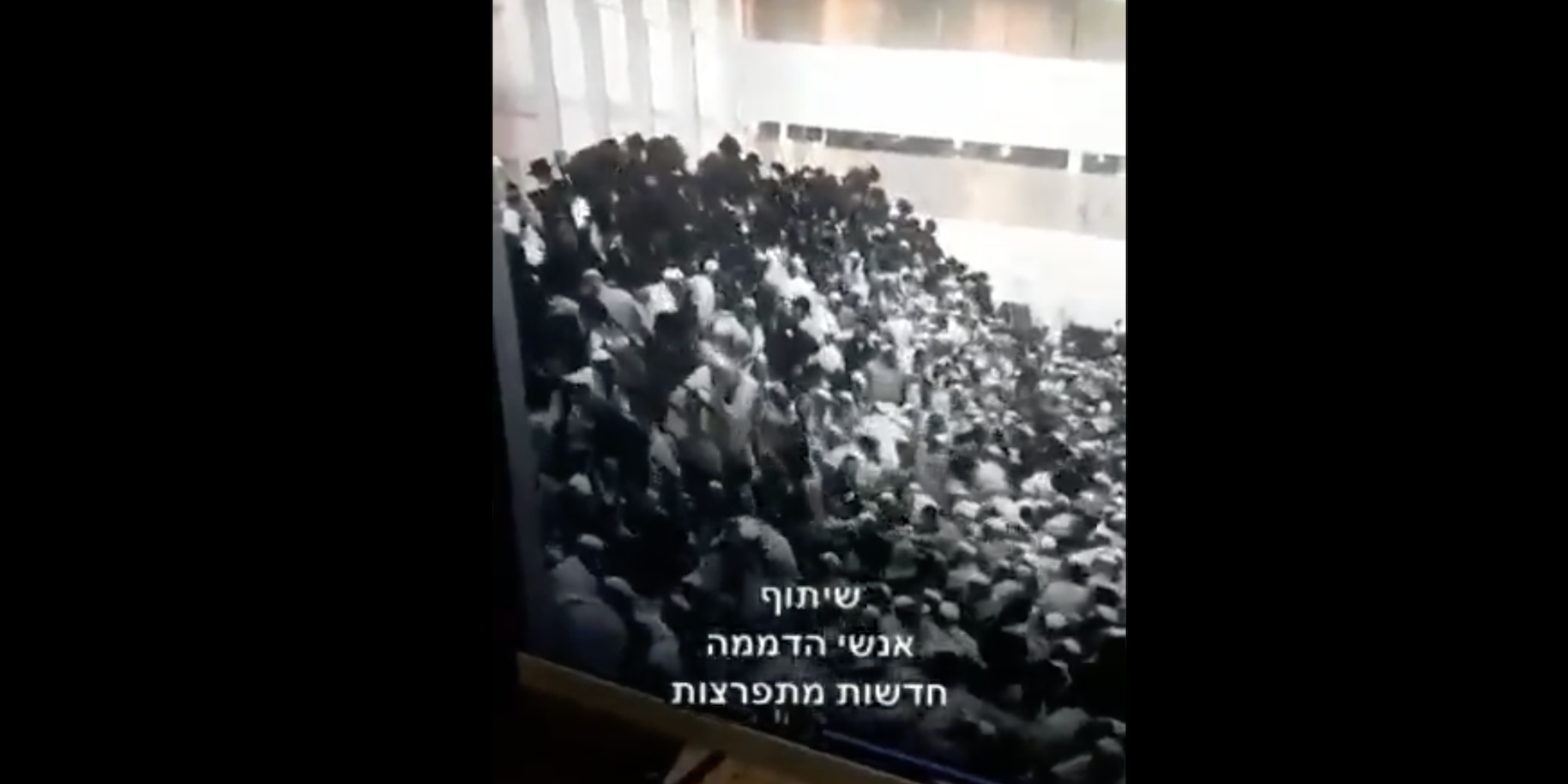 Israel syagogue
