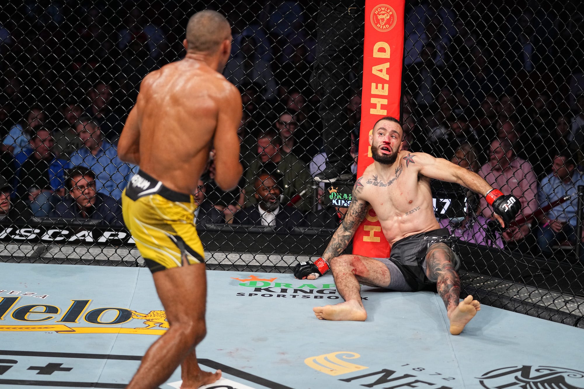 Watch Edson Barboza knock out Shane Burgos