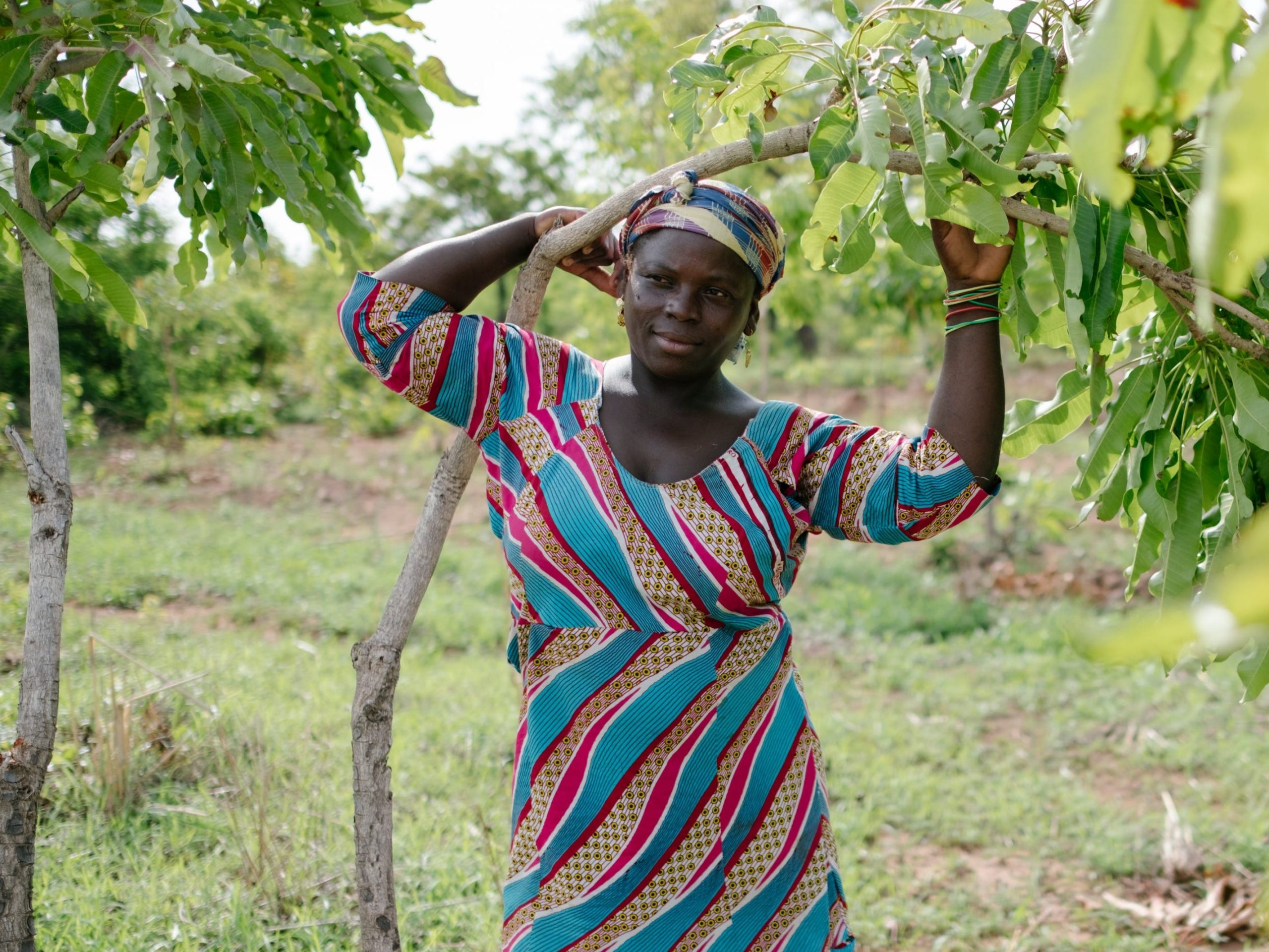 Ecosia tree planting