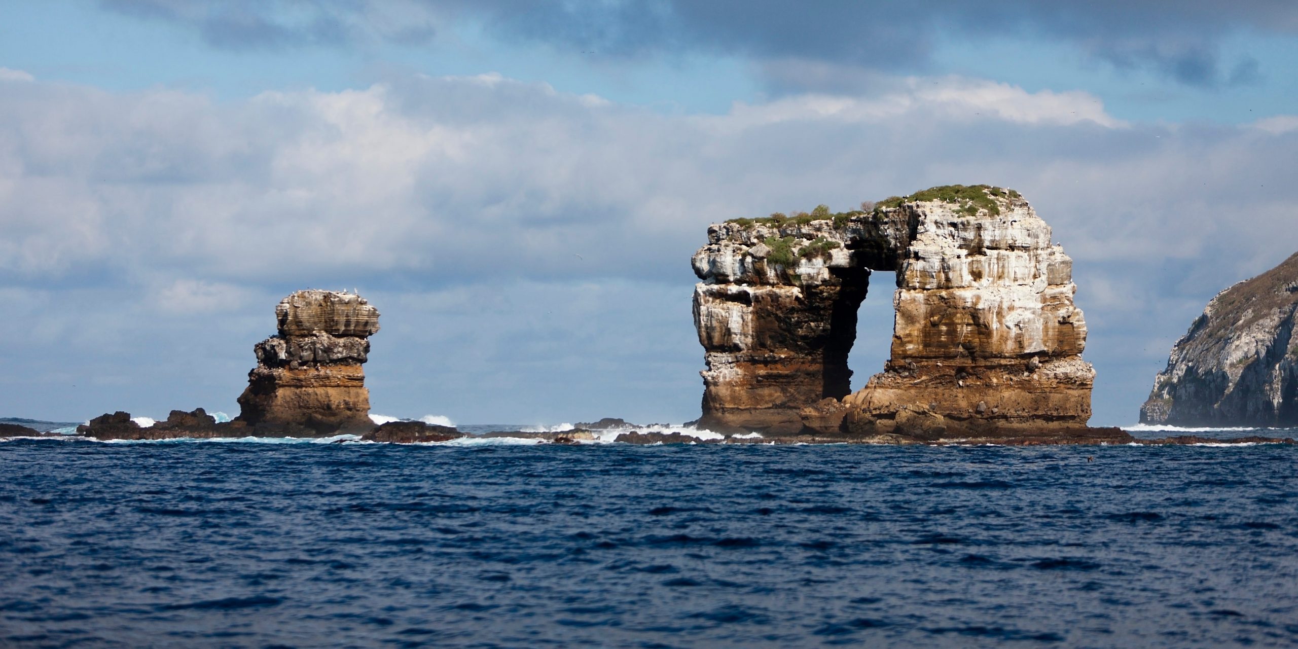 Darwin's Arch