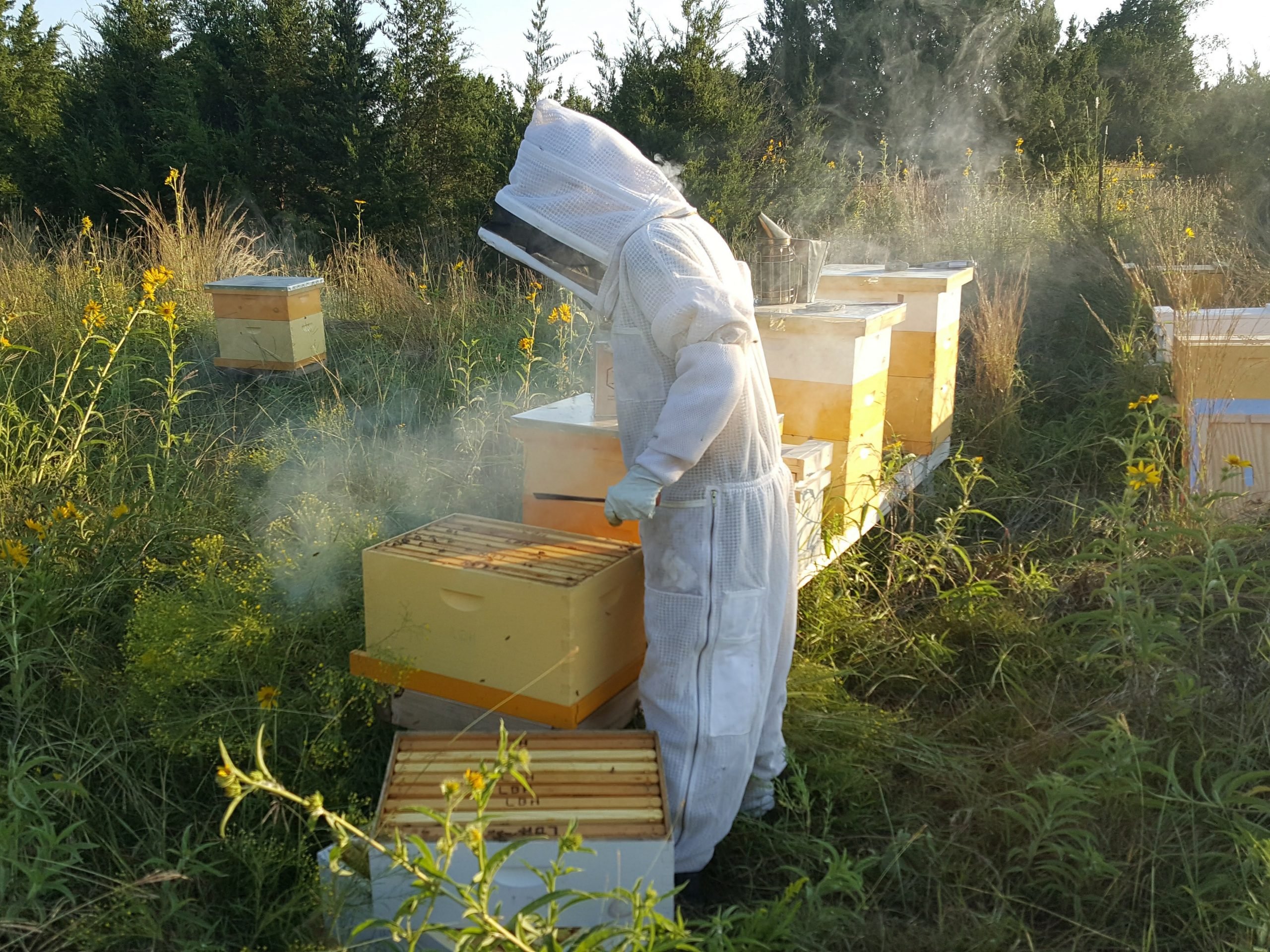 Beekeeper