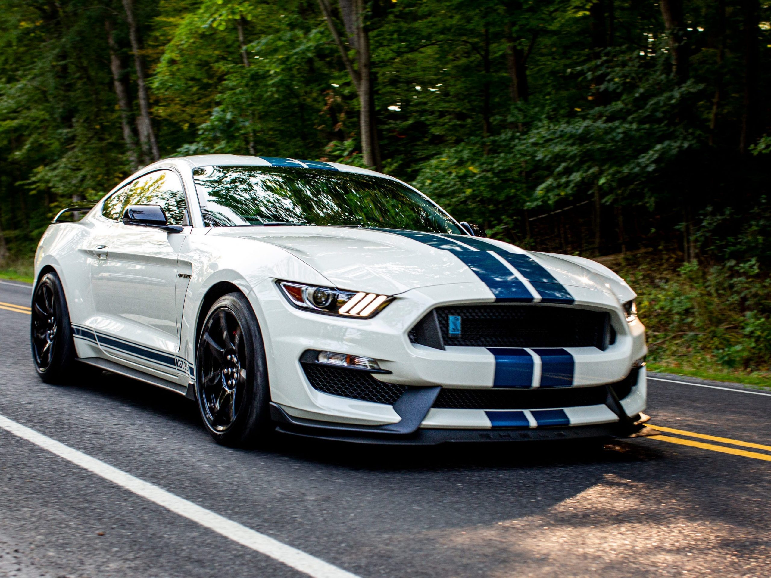 2020 Ford Mustang Shelby GT350R Heritage Edition_6.JPG