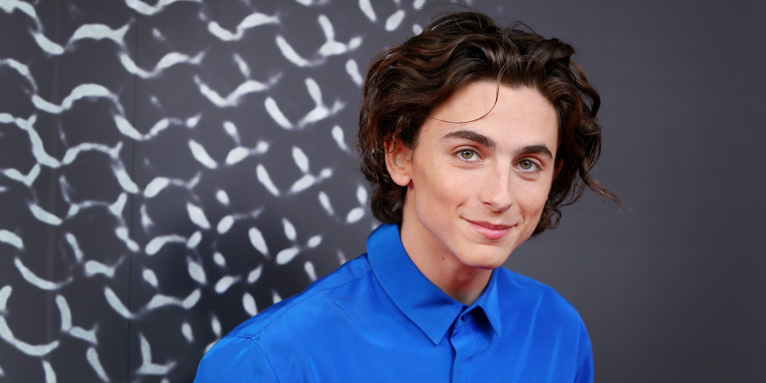 timothee chalamet