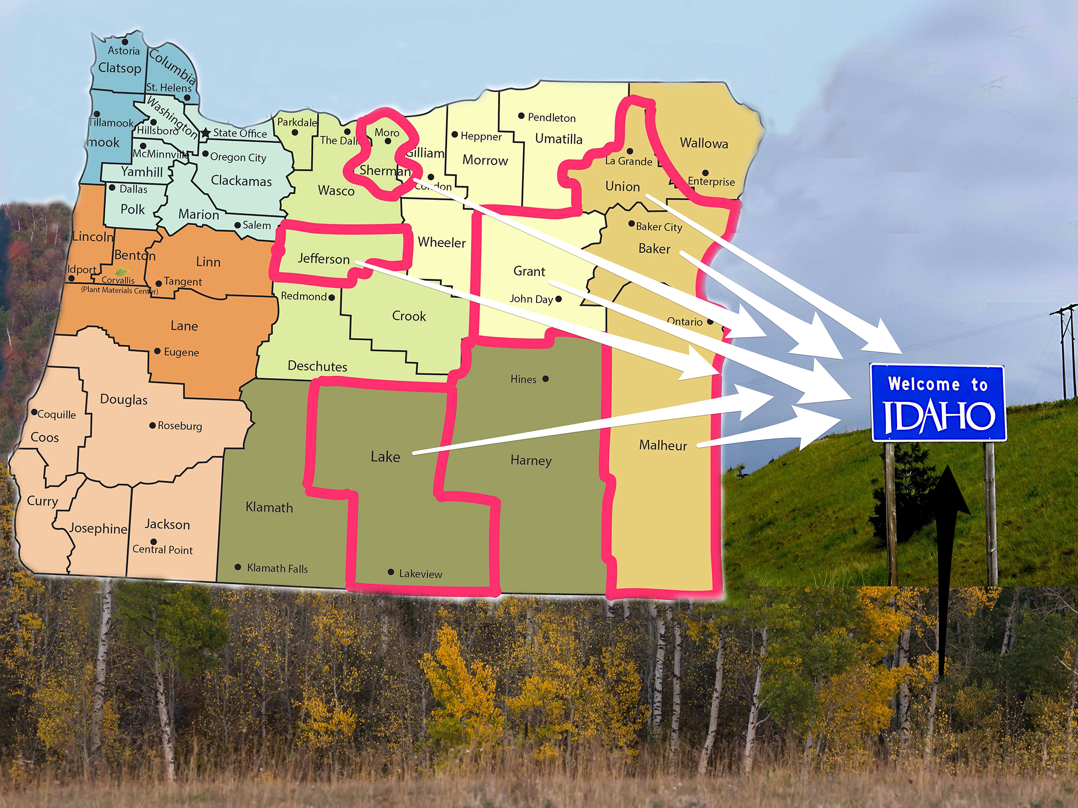 Greater Idaho