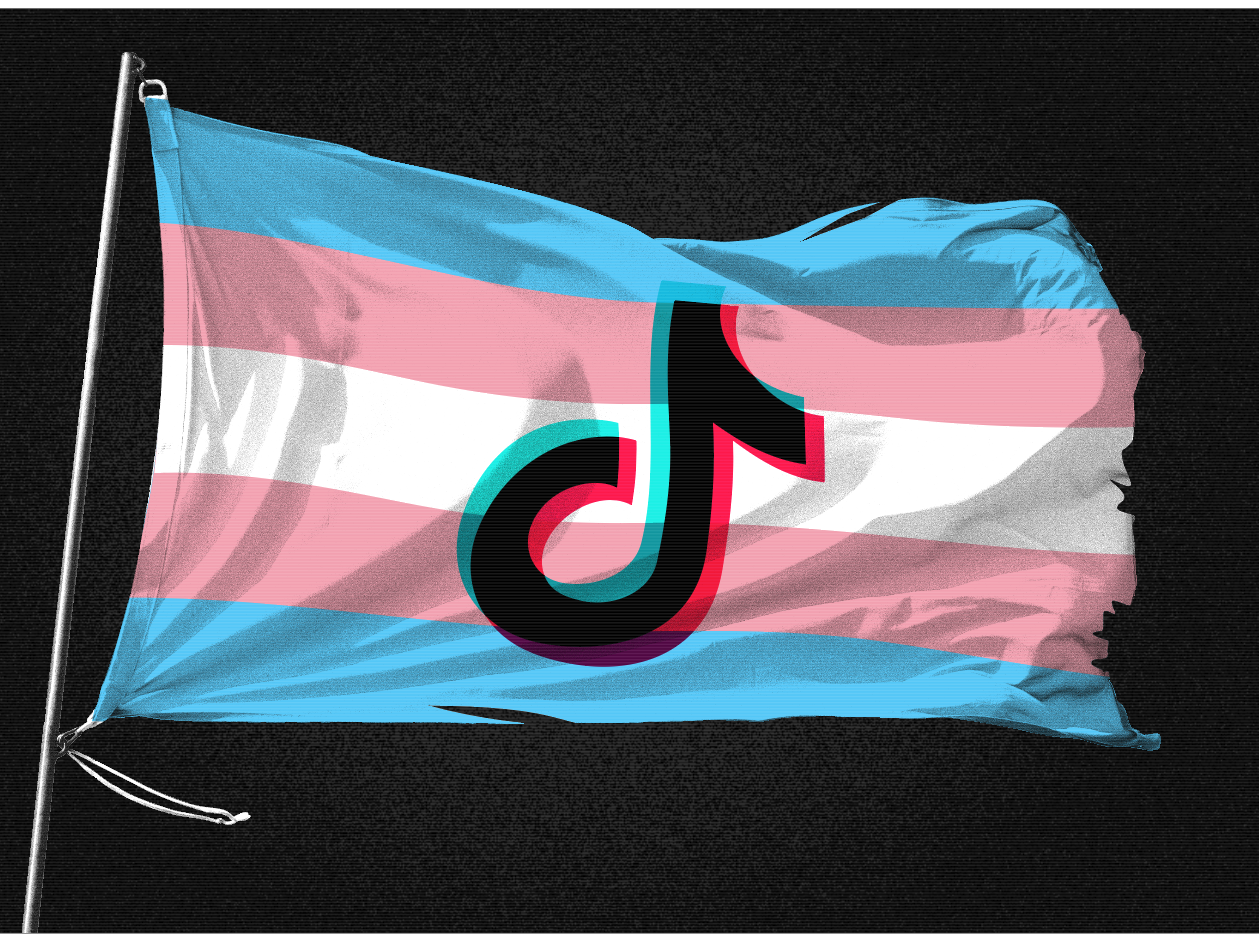 TikTok transgender flag